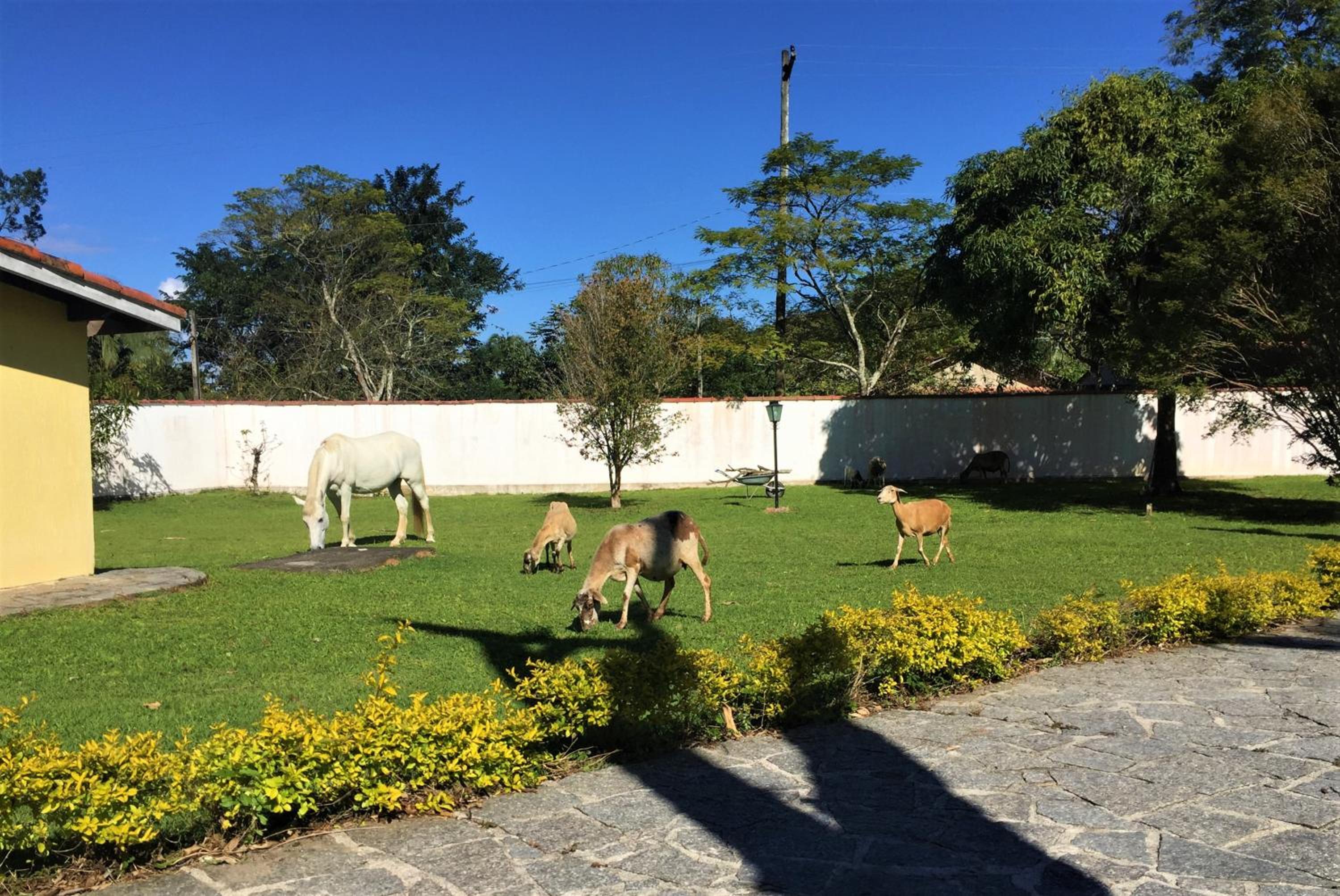 Recanto do Ribeirão