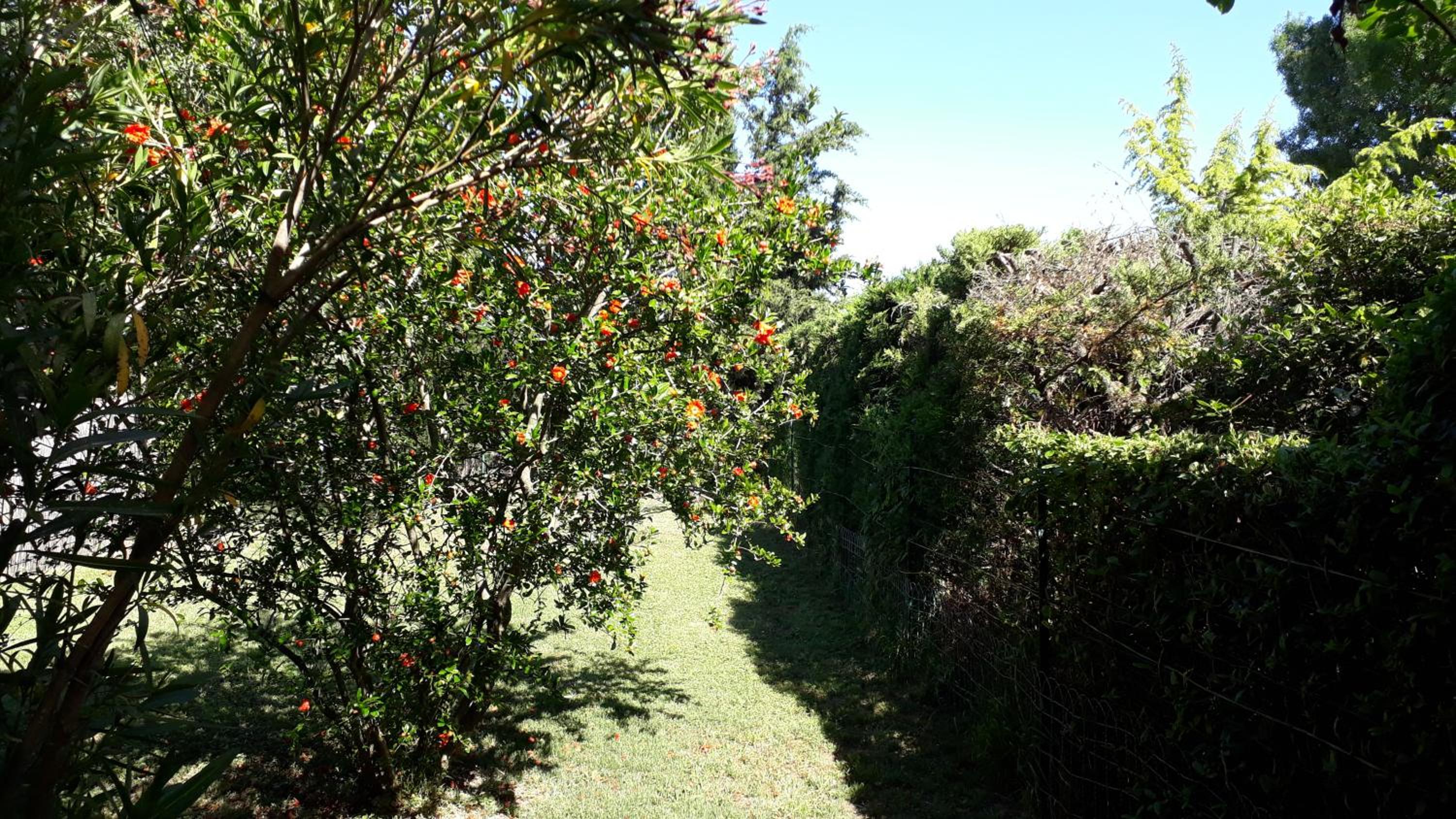 Gite du riage classé 3 étoiles près d 'Anduze , Cévennes, photo 6