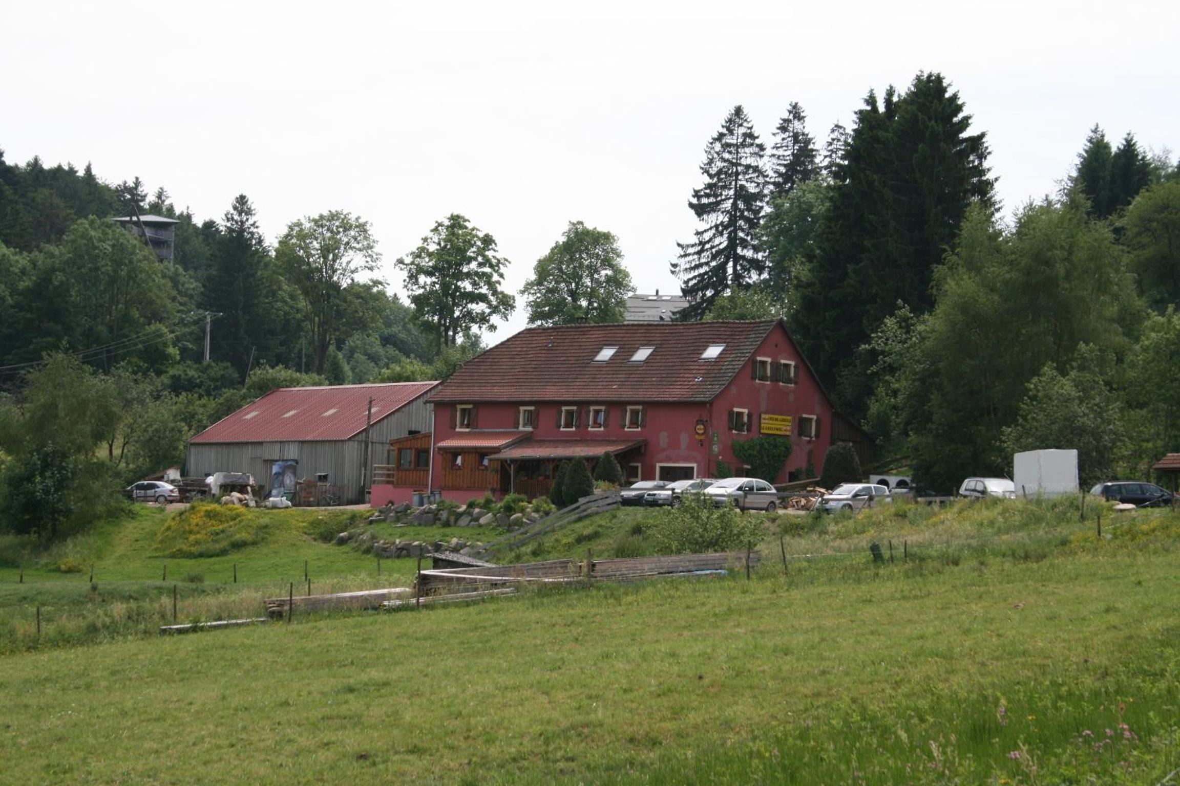 Photo 25