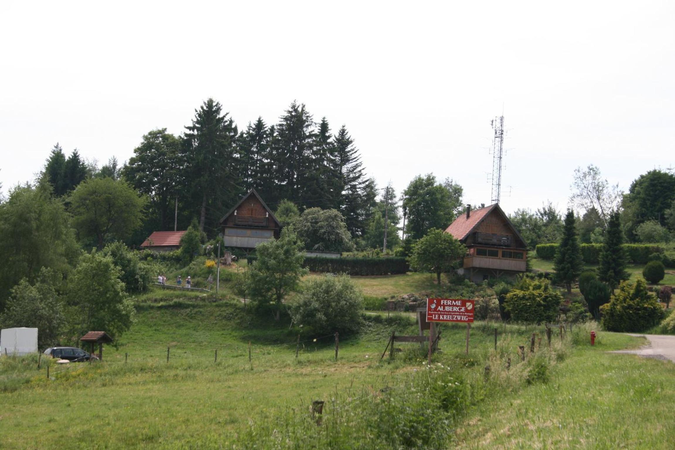 Photo 27