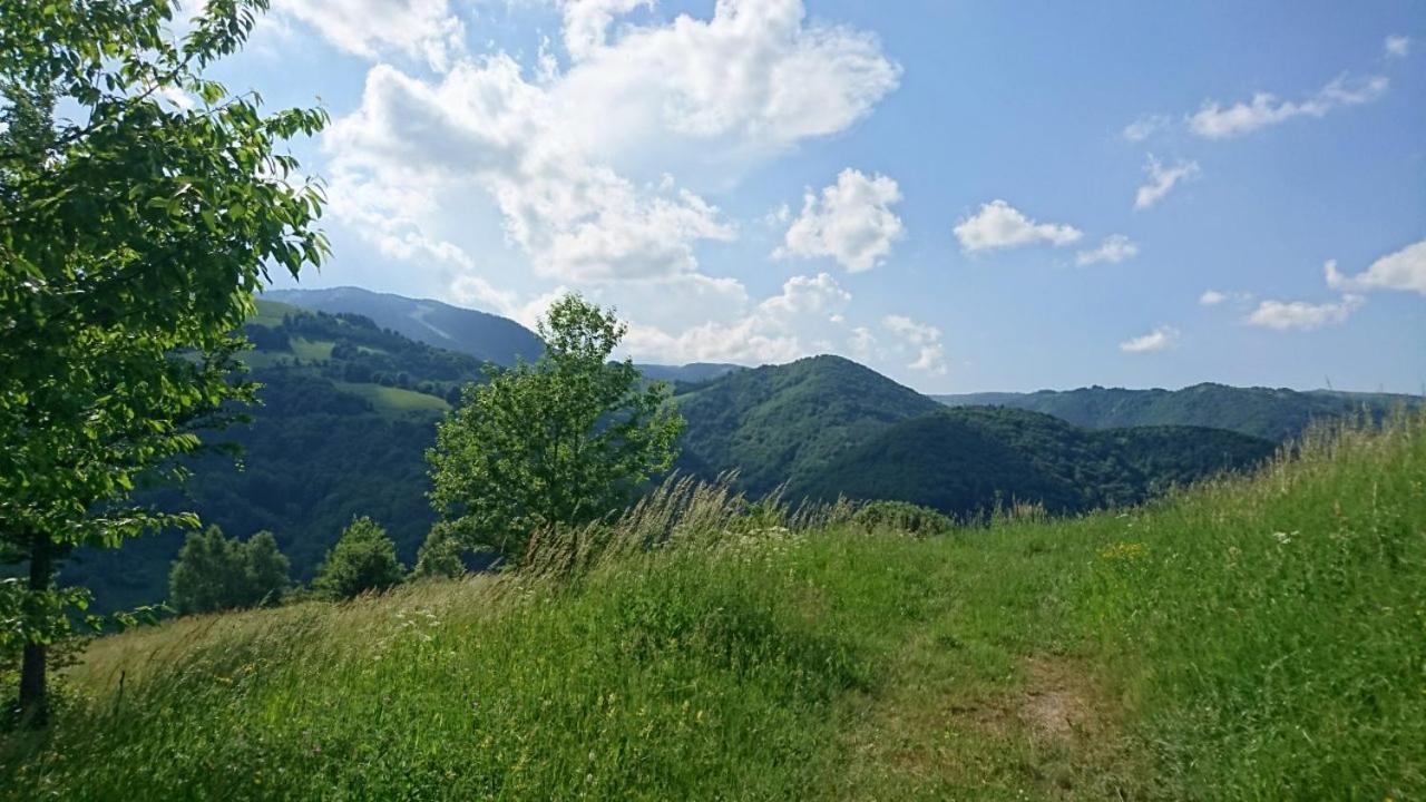 Photo 40