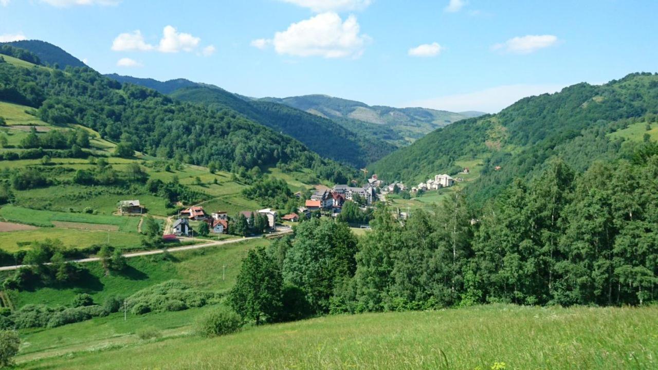 Photo 41