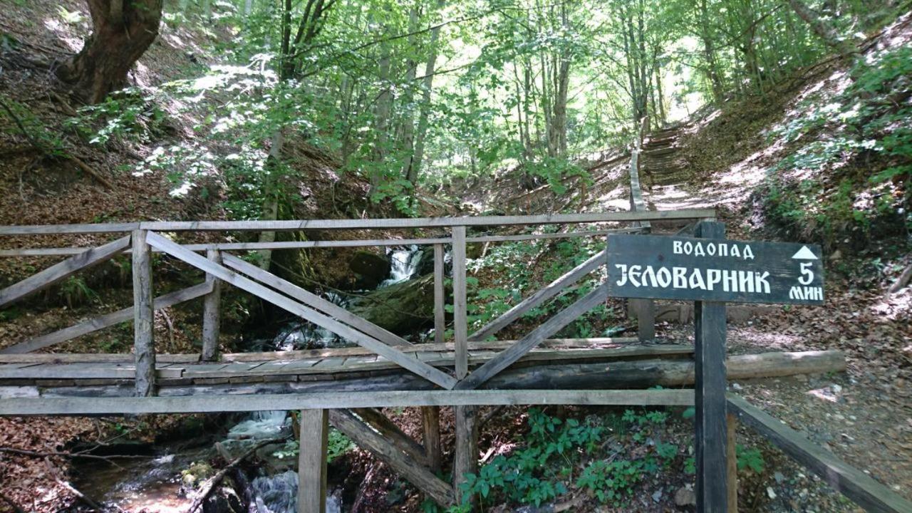 Photo 46