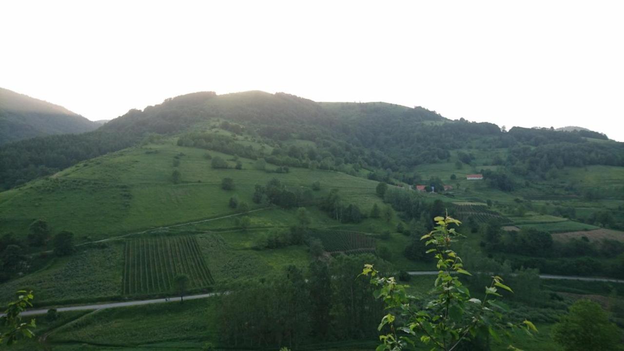 Photo 47