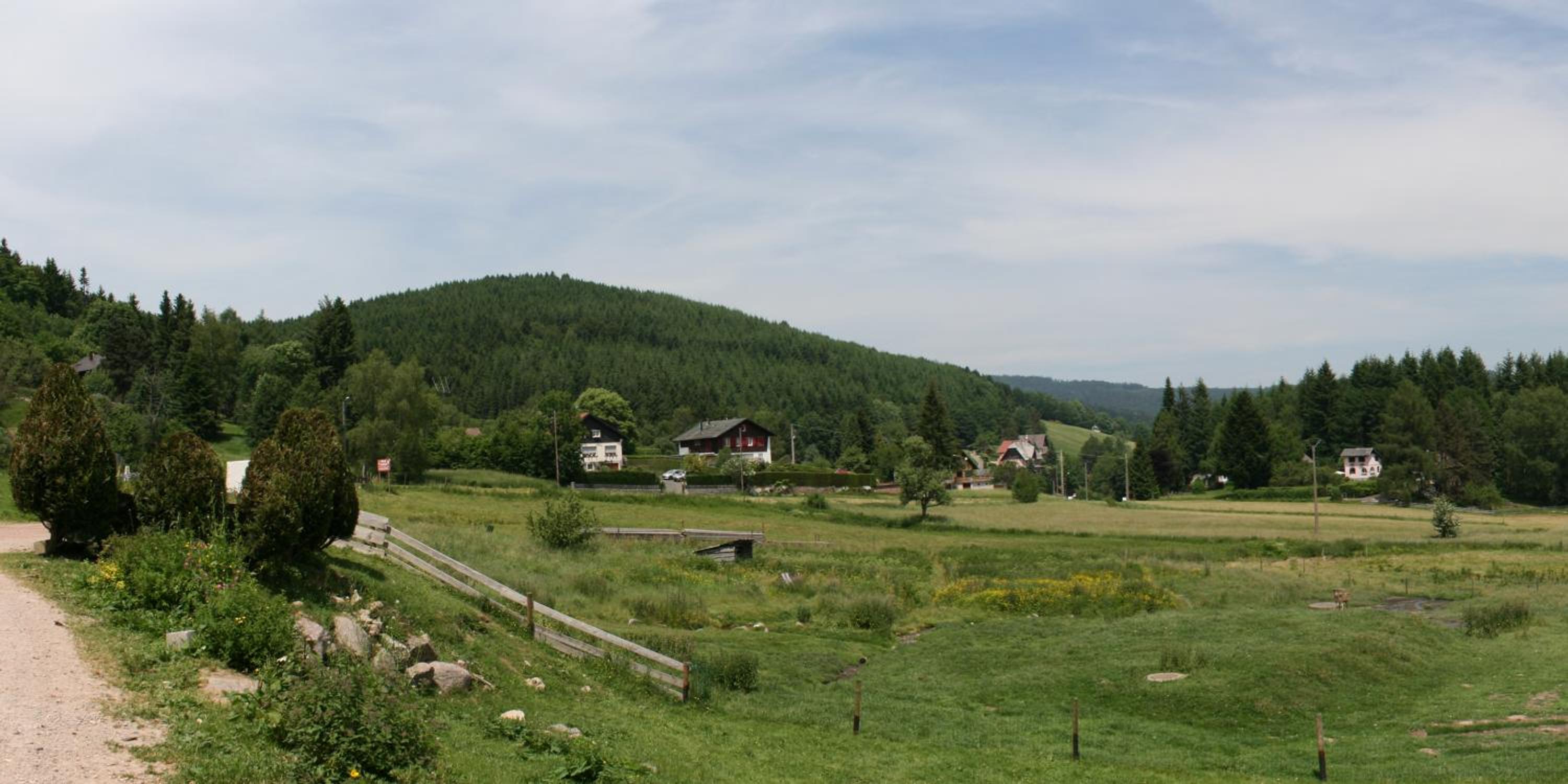 Photo 29