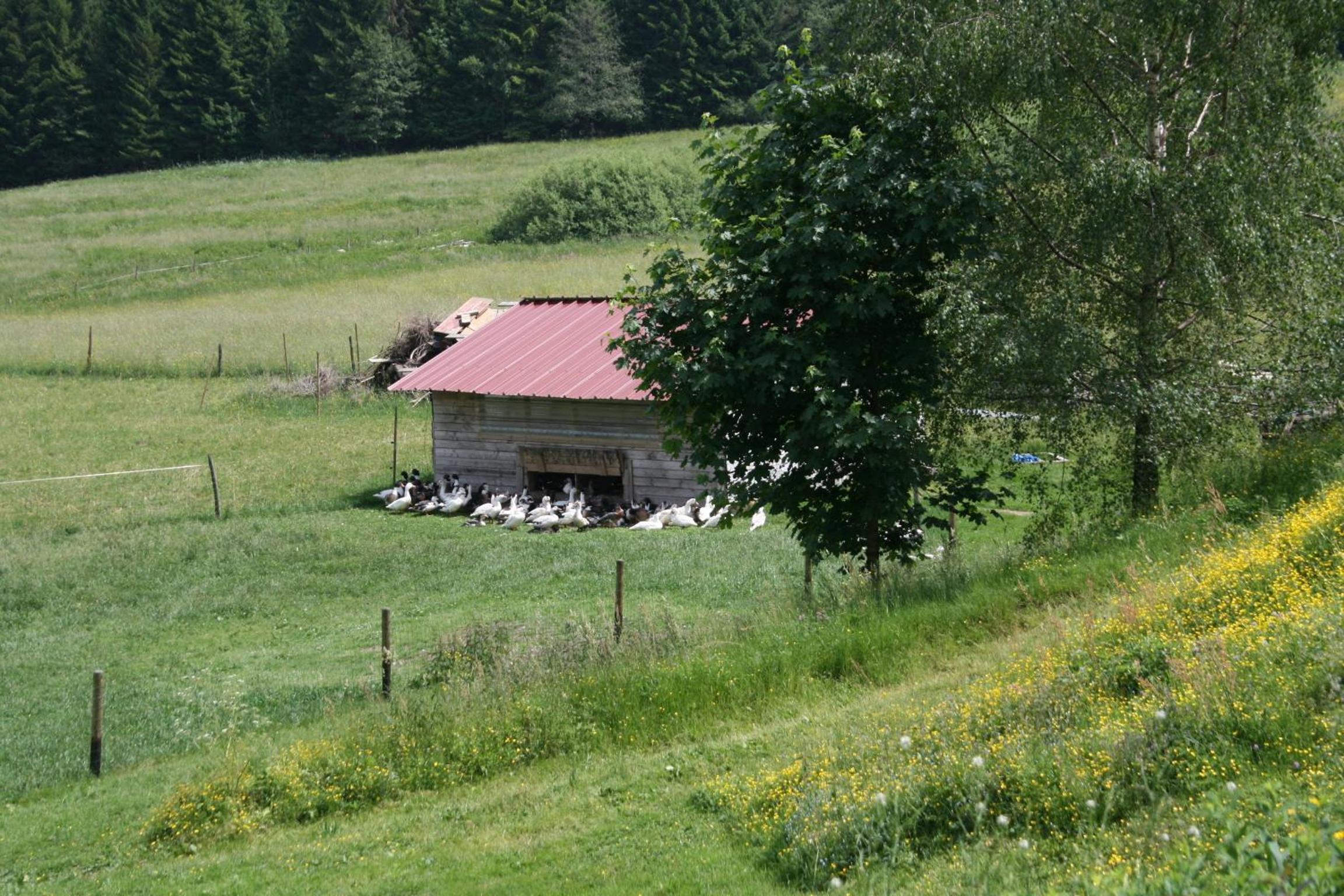 Photo 6