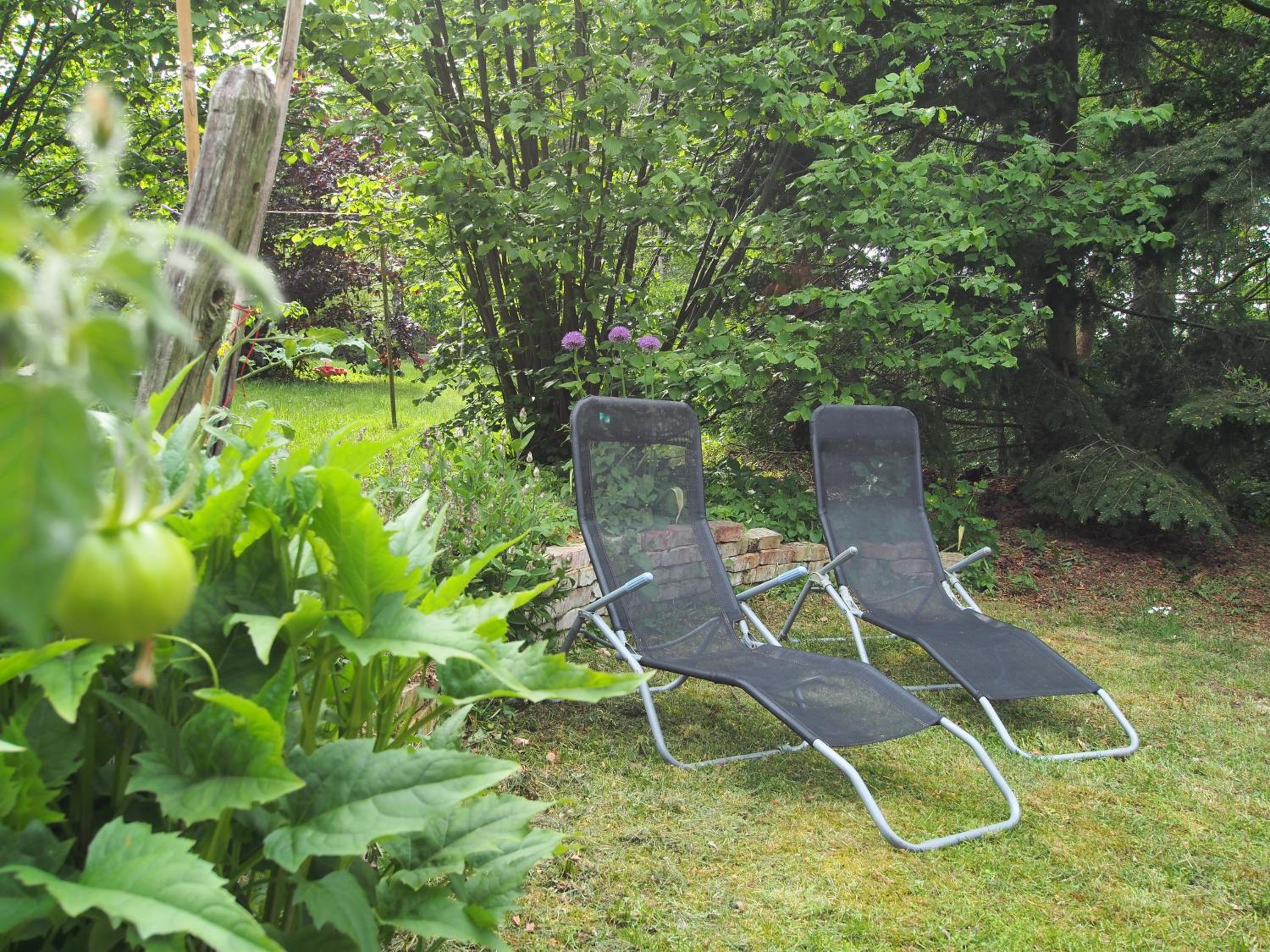 Ferienwohnung am Dümmer See view 3