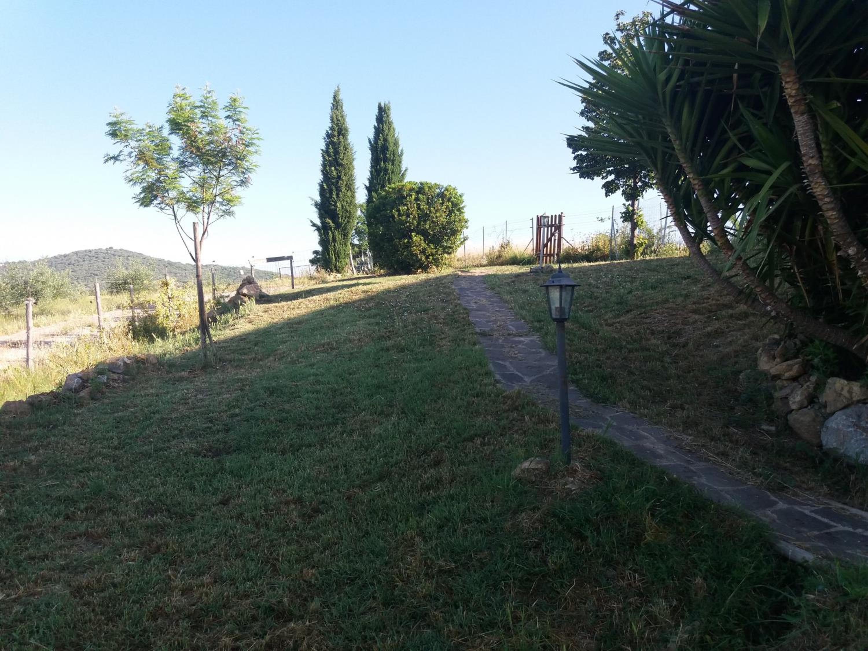 Photo 35