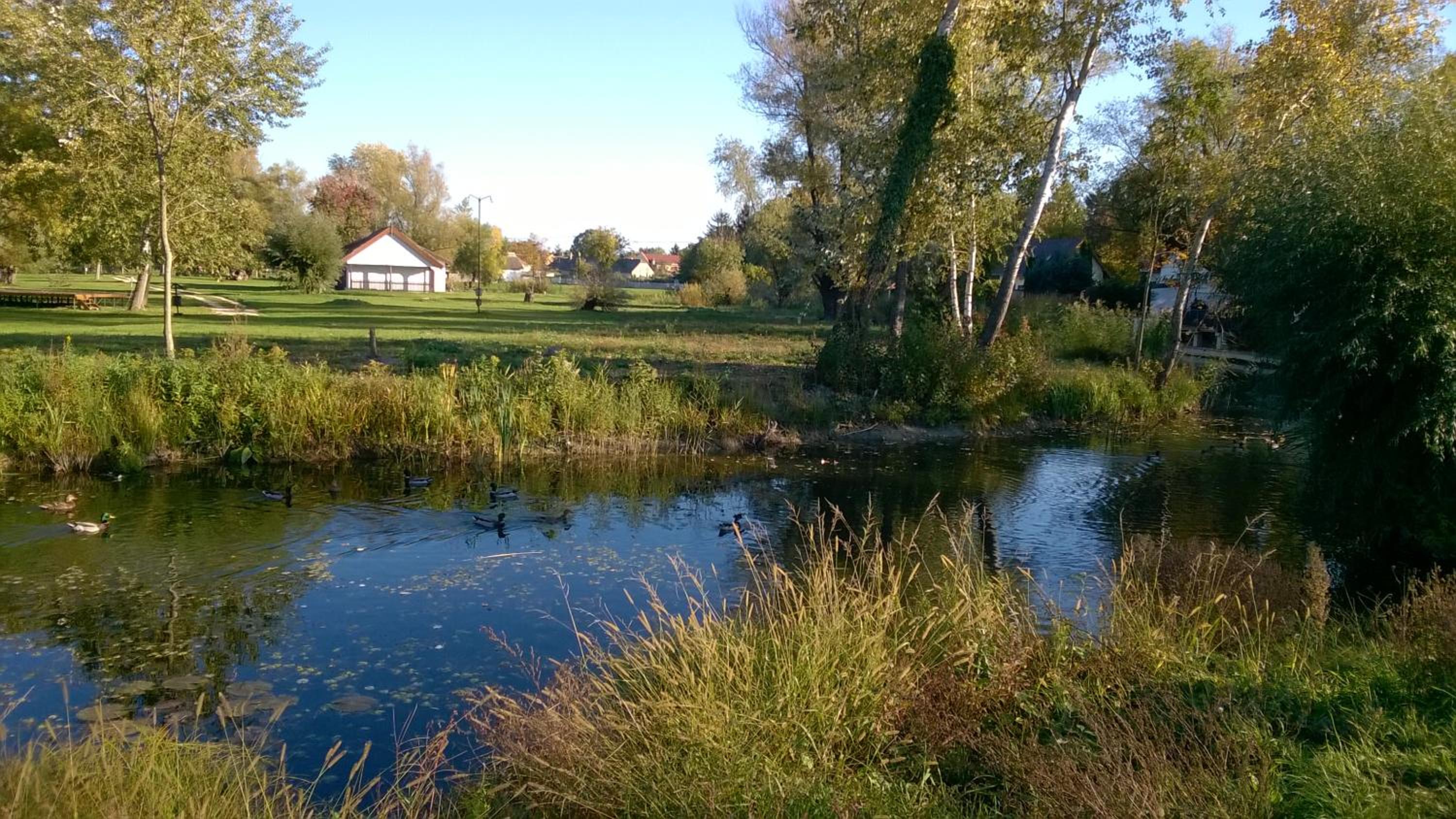Photo 21