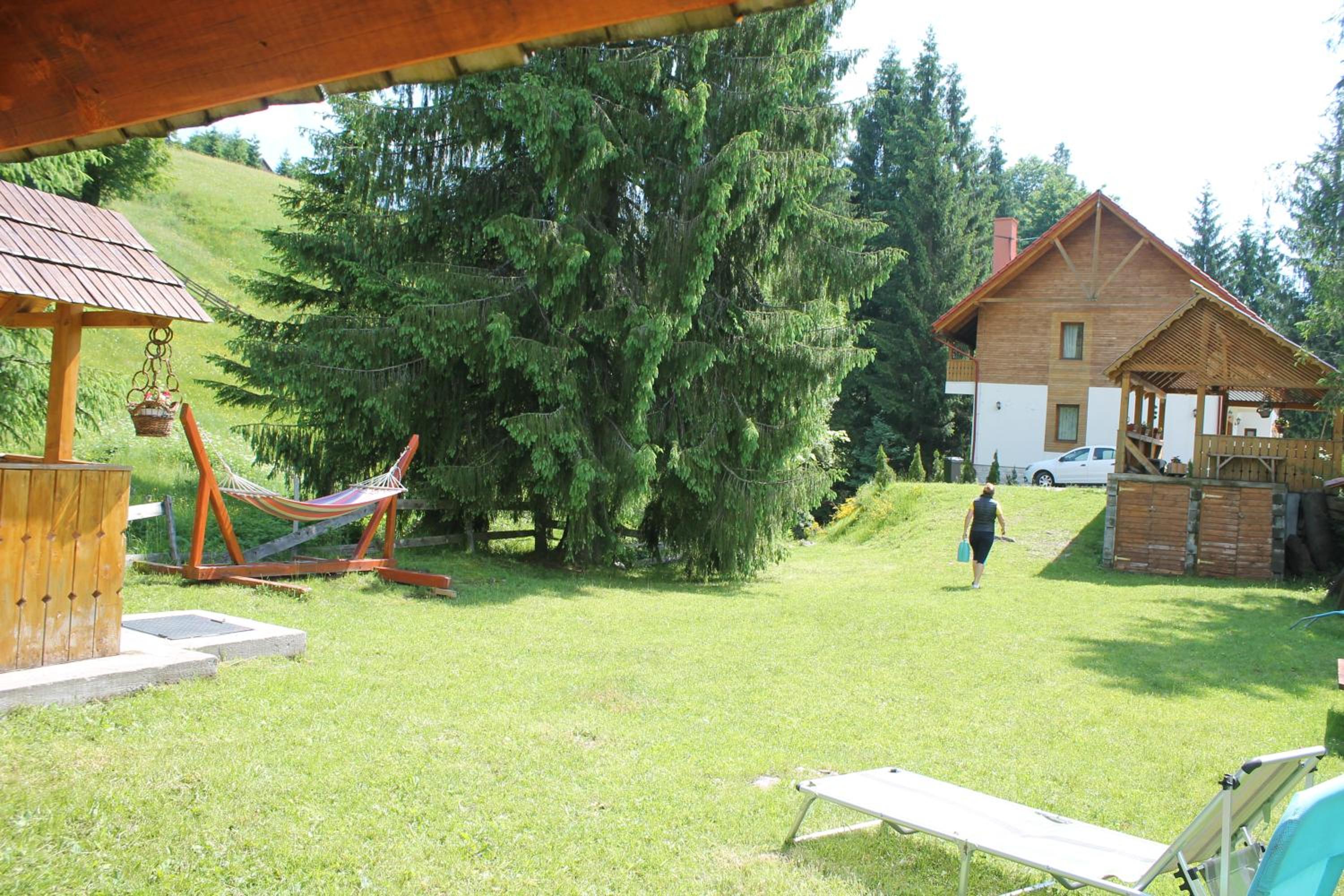 Photo 27