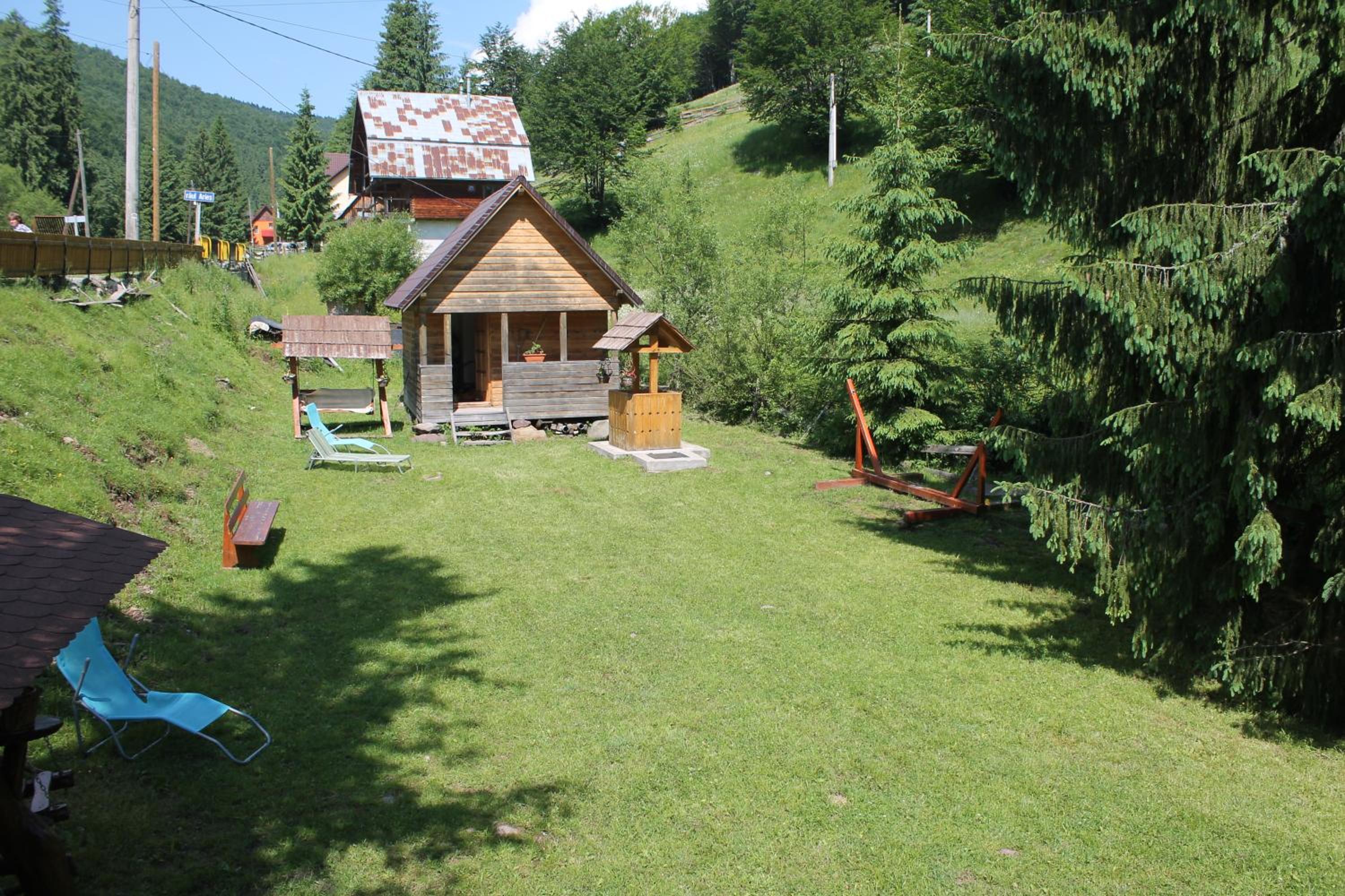 Photo 31