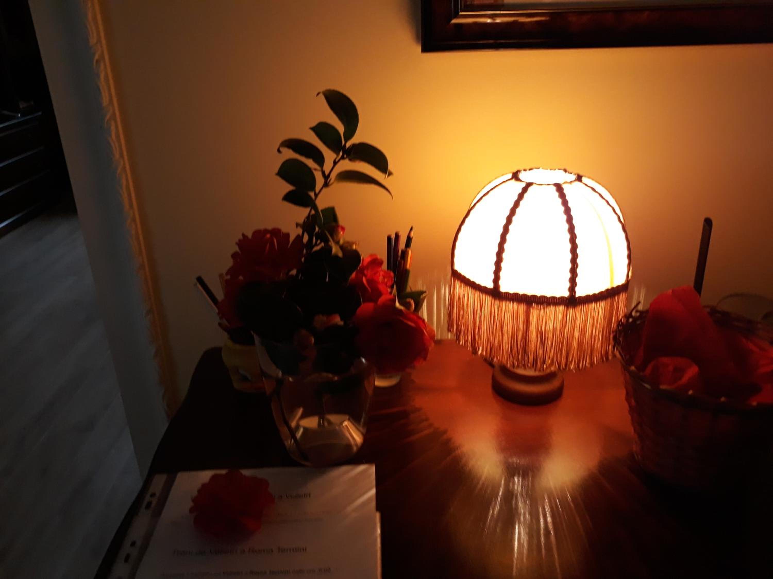 La Camelia B&B view 3