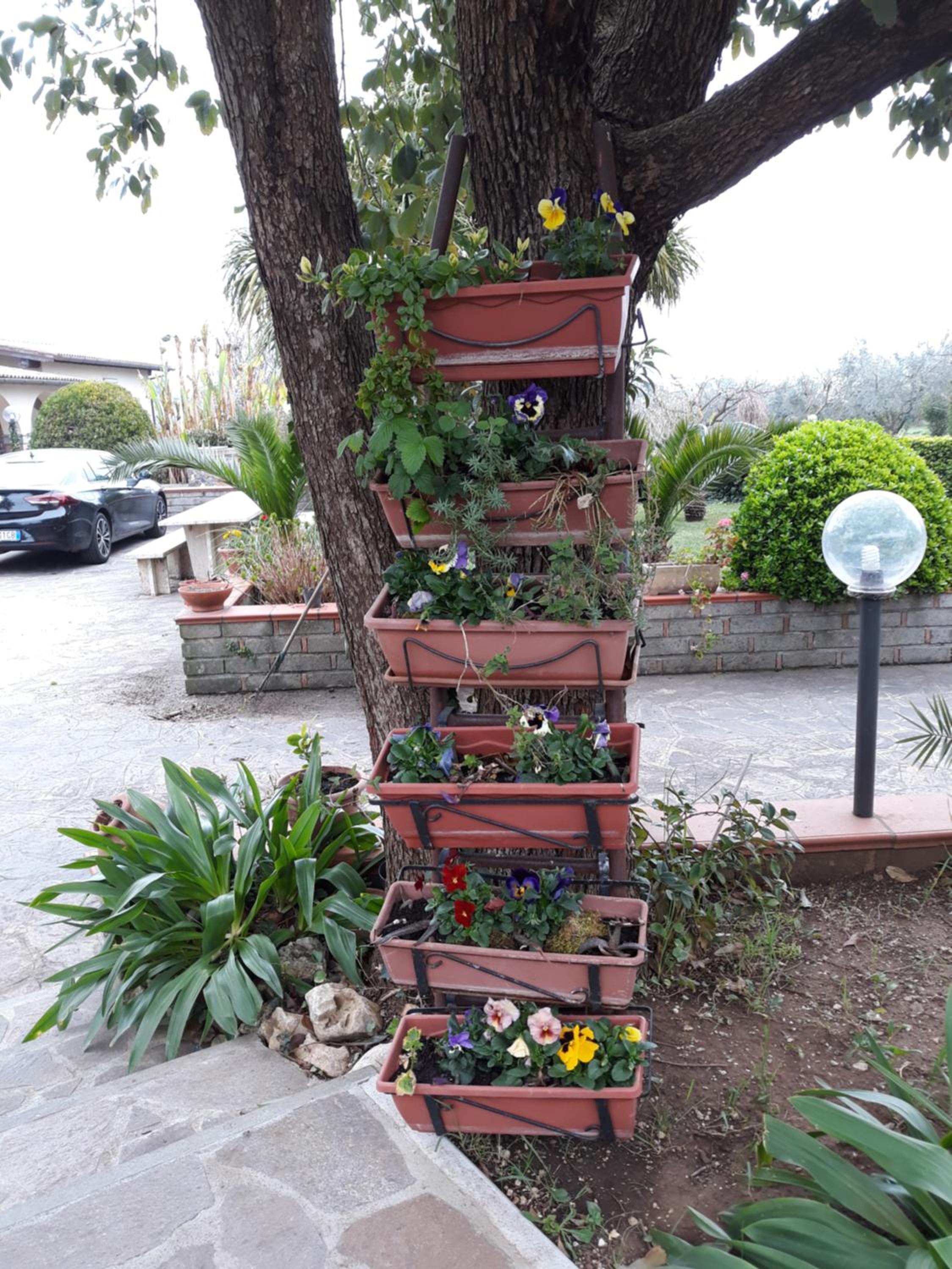 La Camelia B&B view 4