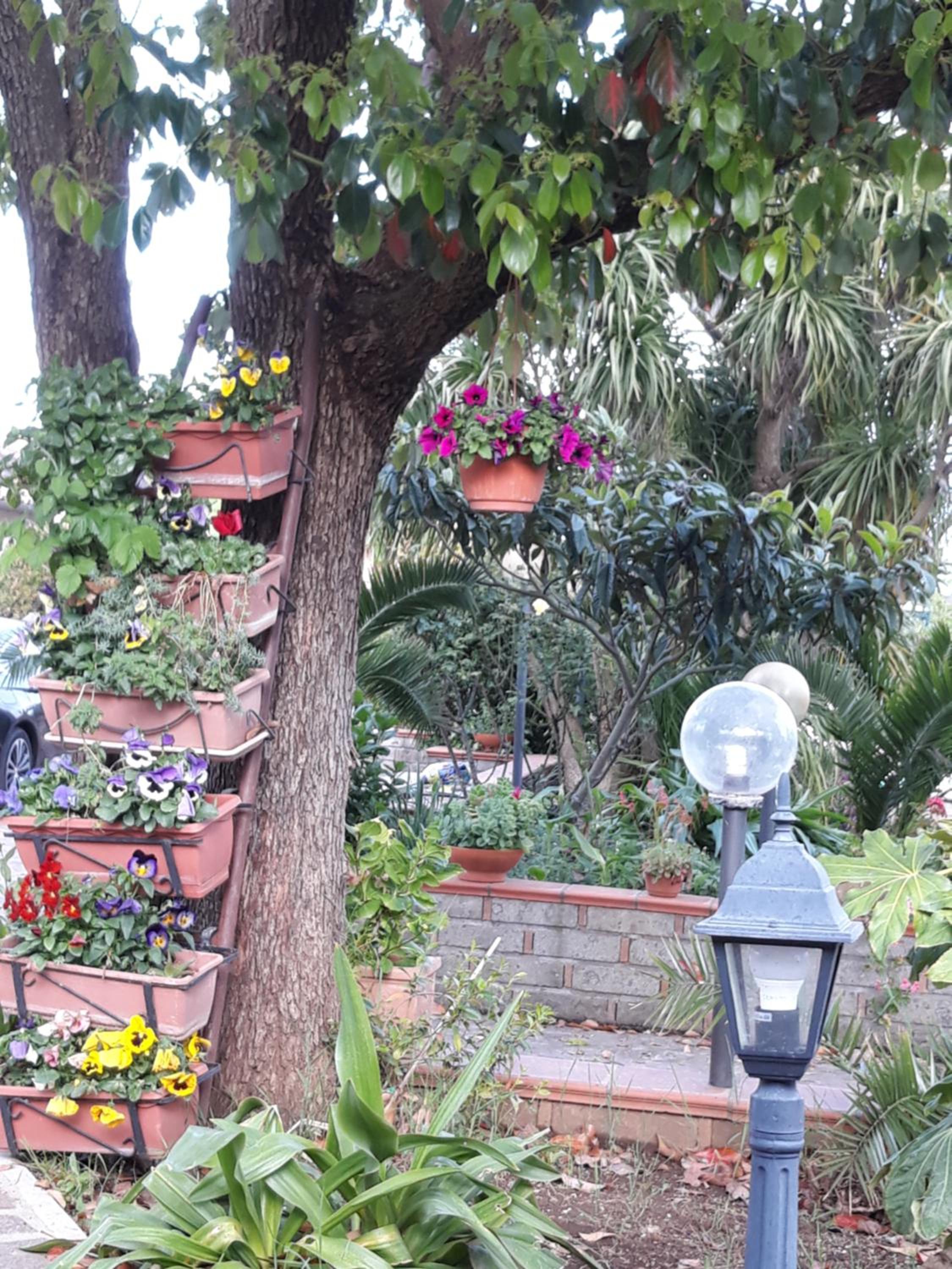 La Camelia B&B view 2