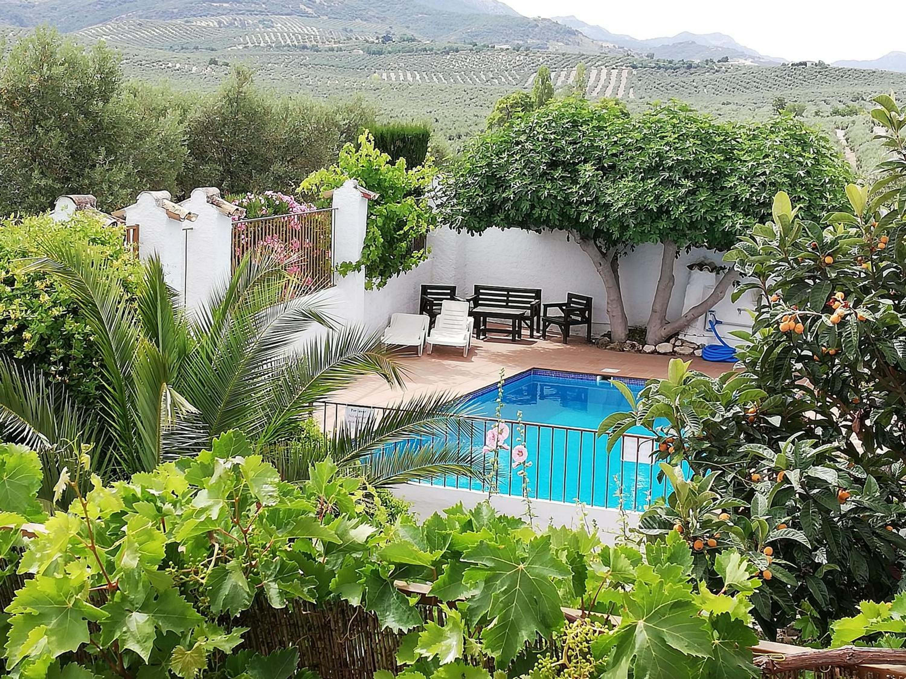 Cortijo Los Abedules view 5