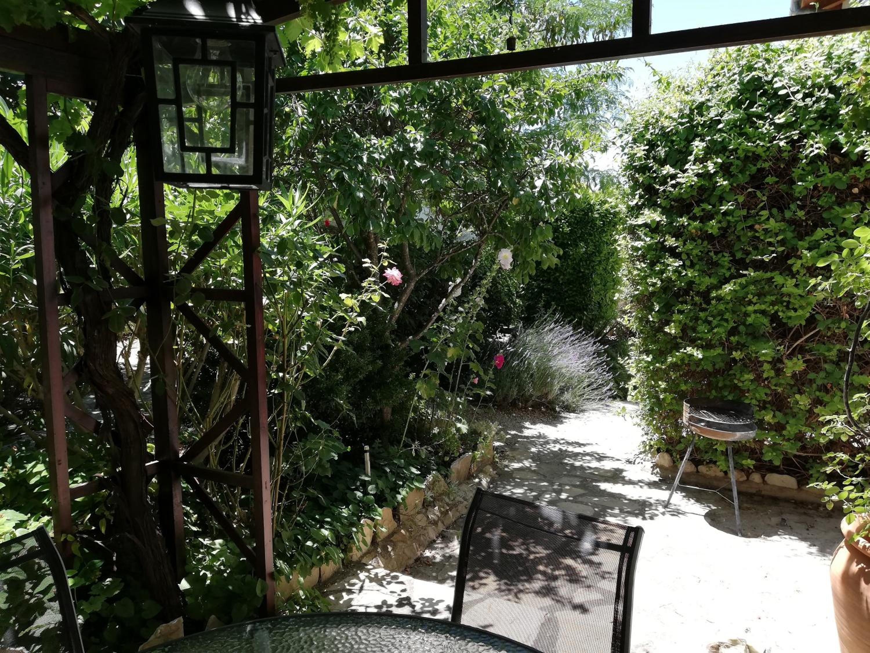 Photo 7