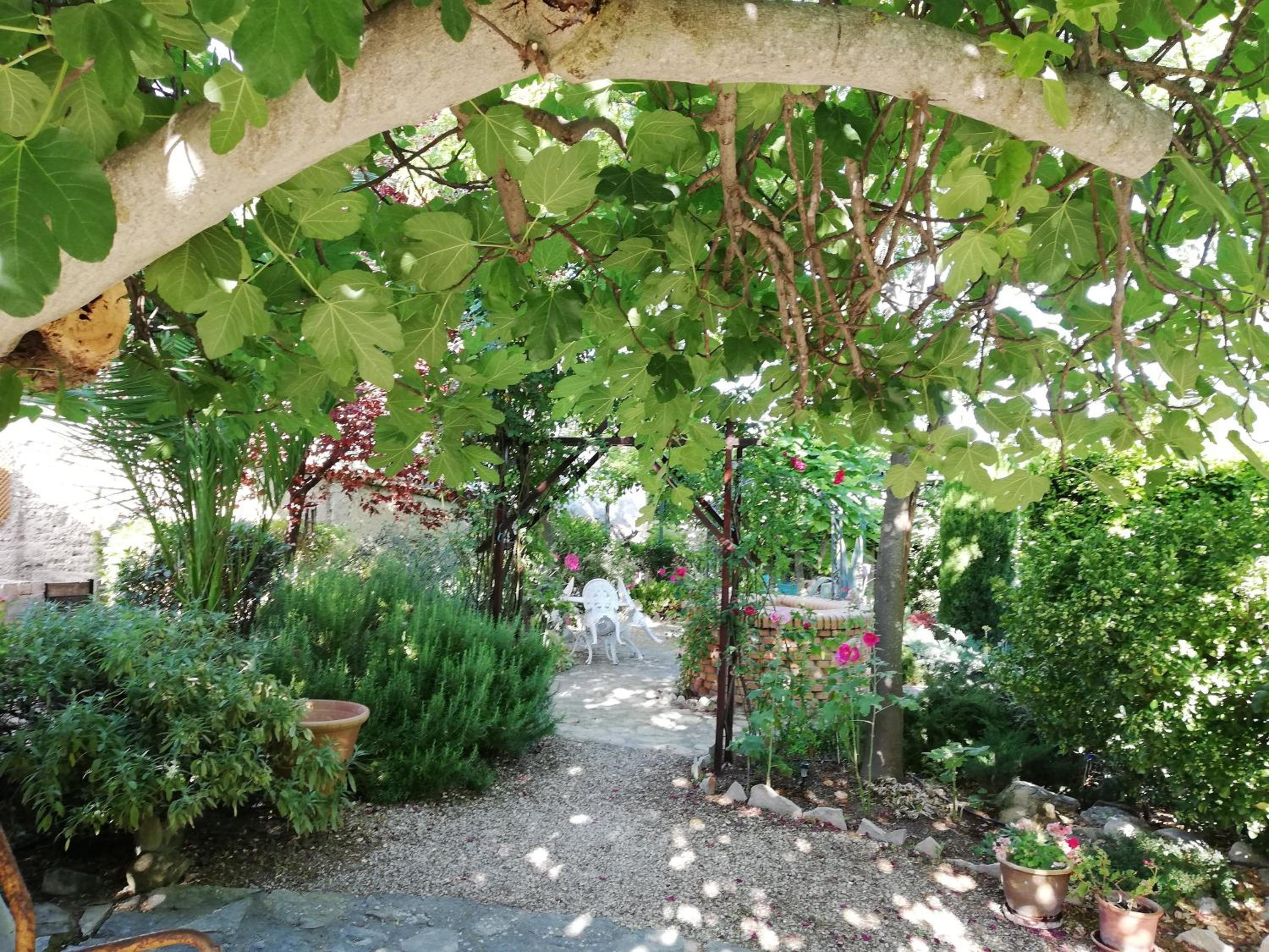 Photo 23