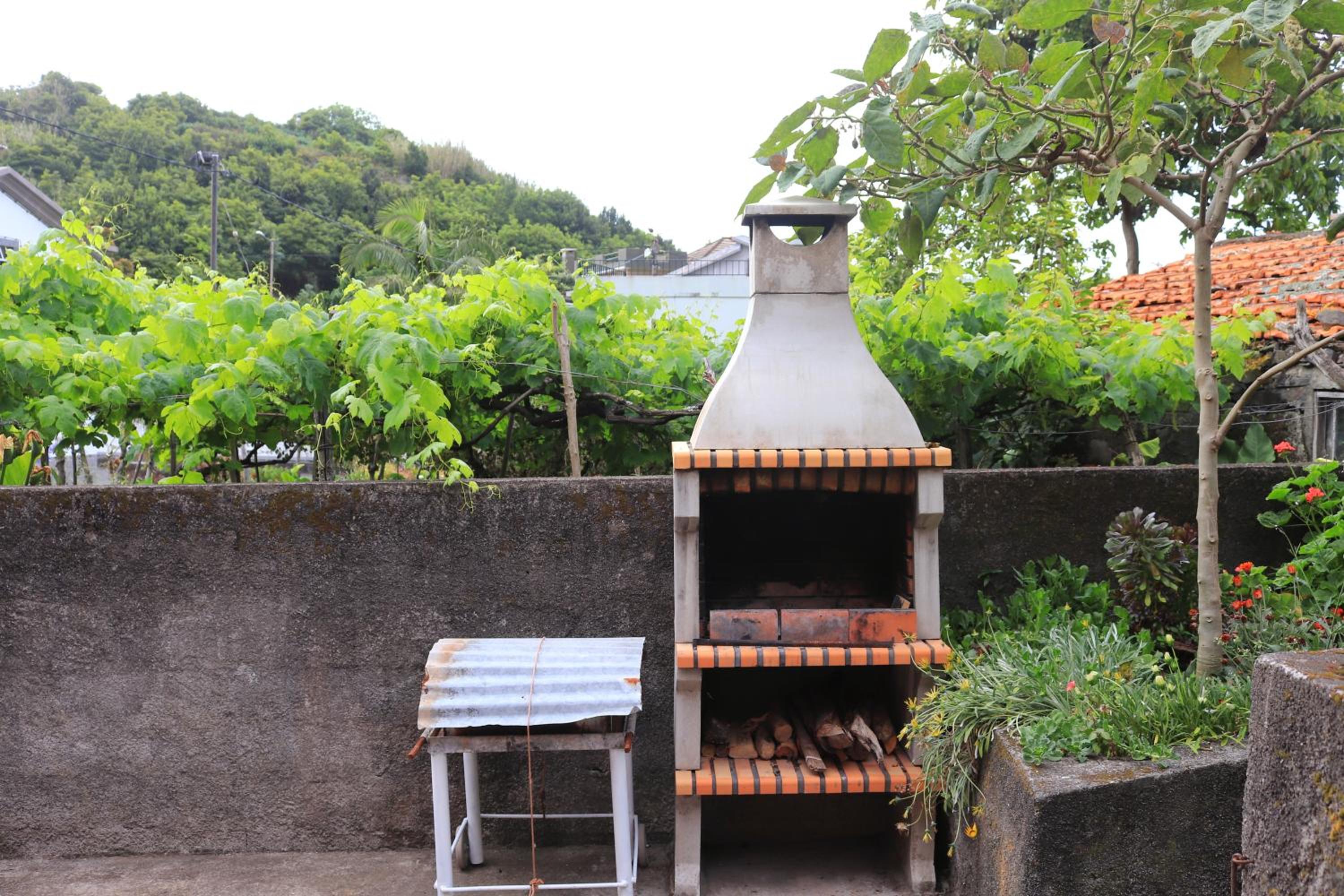Photo 44