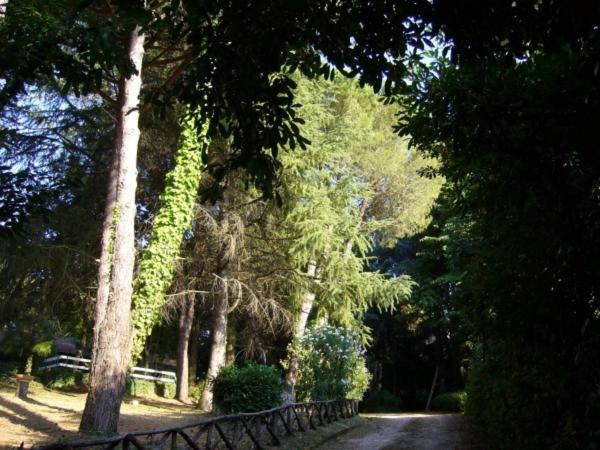 Photo 37