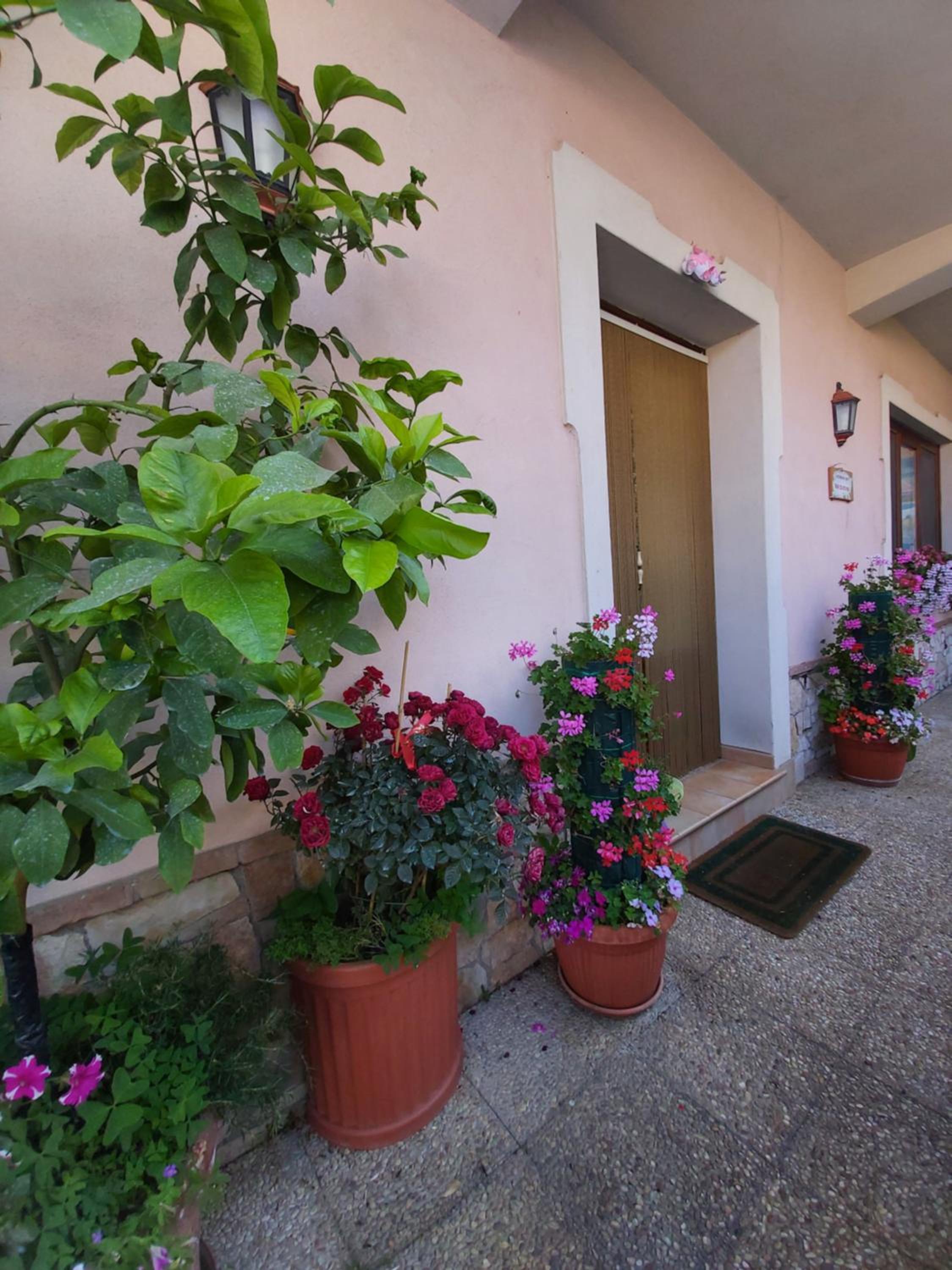 Il ritrovo delle Volpi view 5