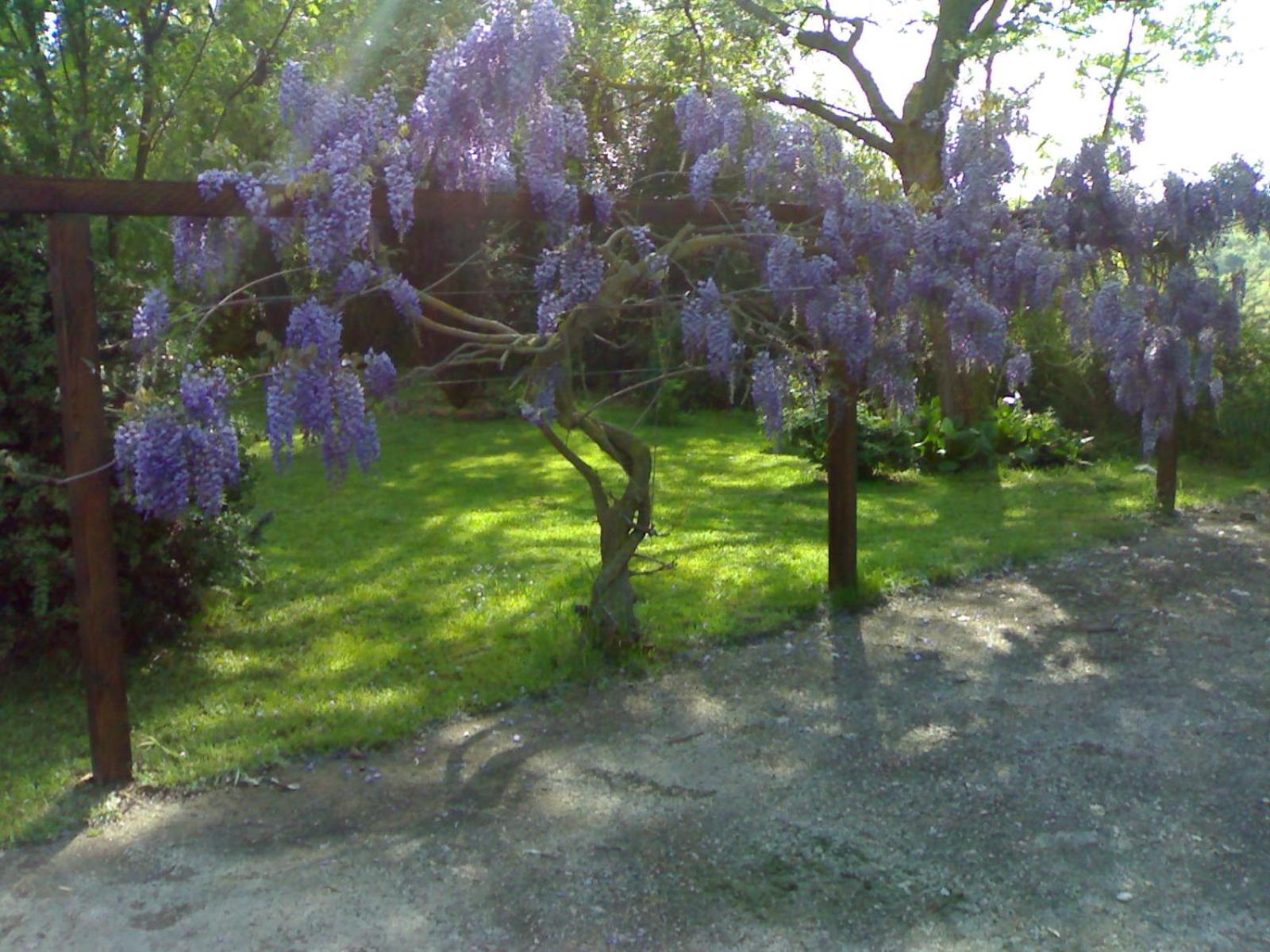 Villa con piscina view 4