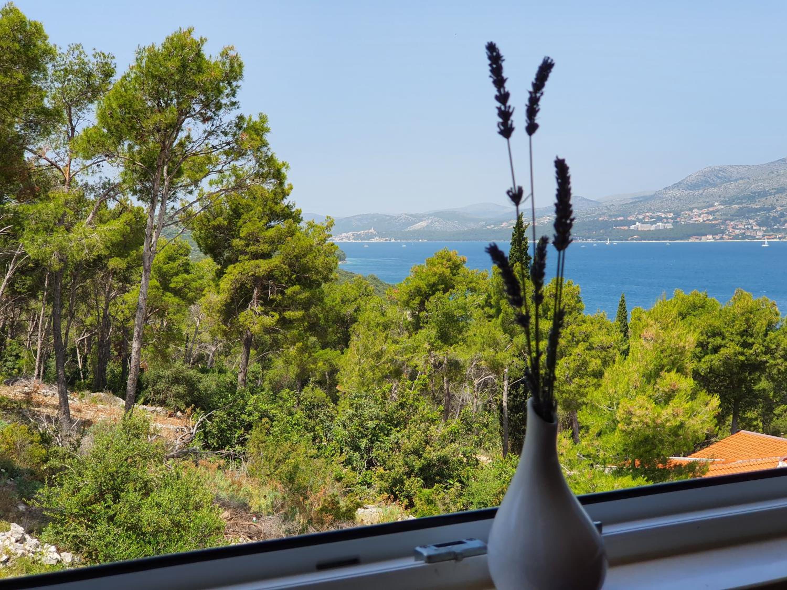 Apartment Tihana view 3