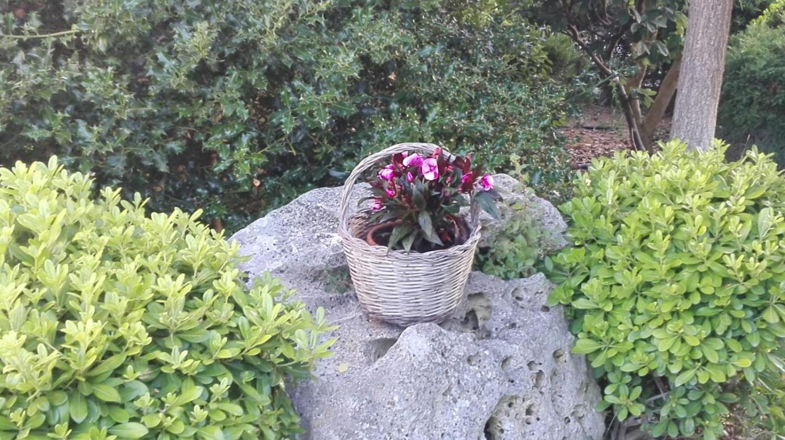 Photo 27