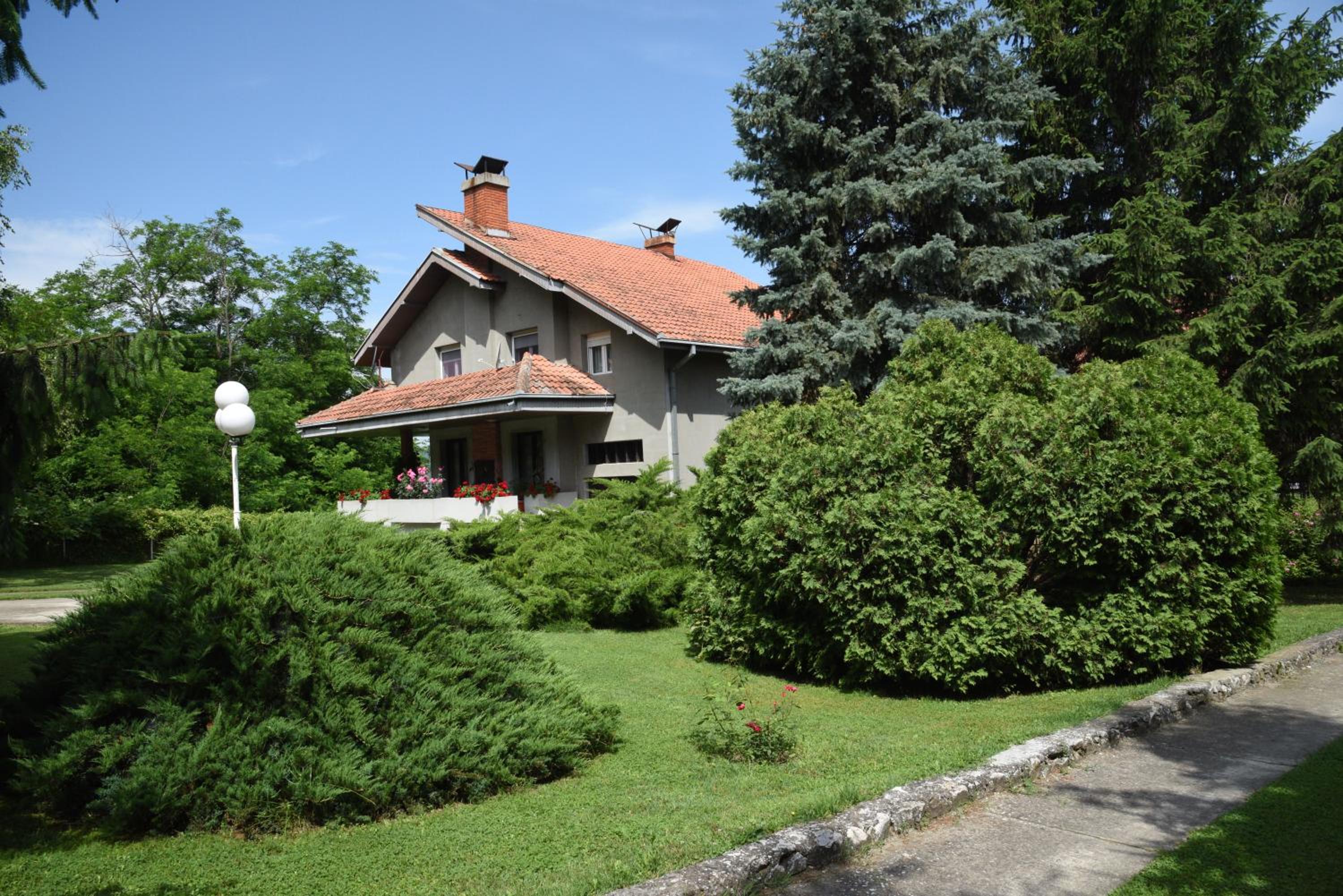 Photo 11