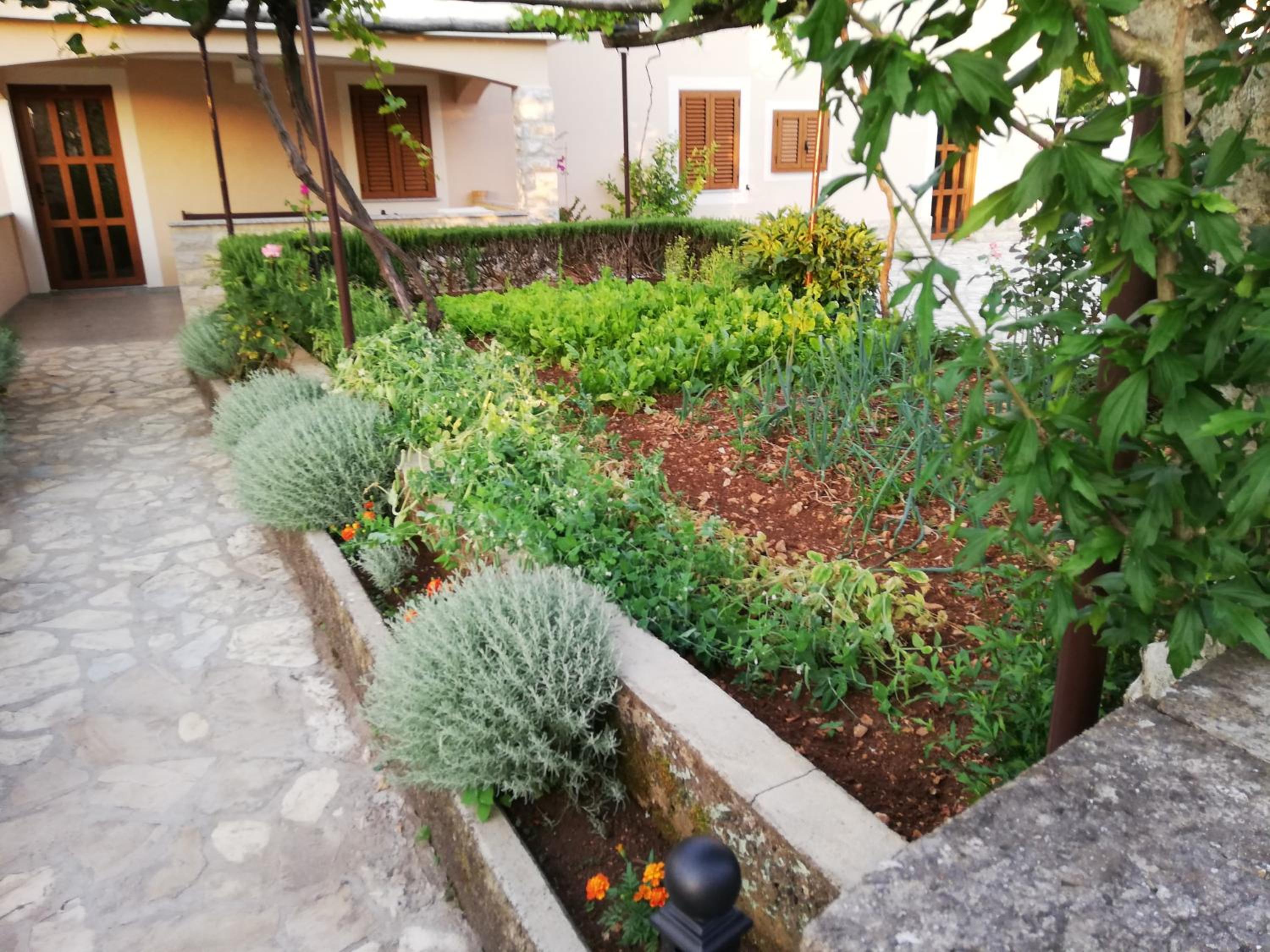 Photo 23