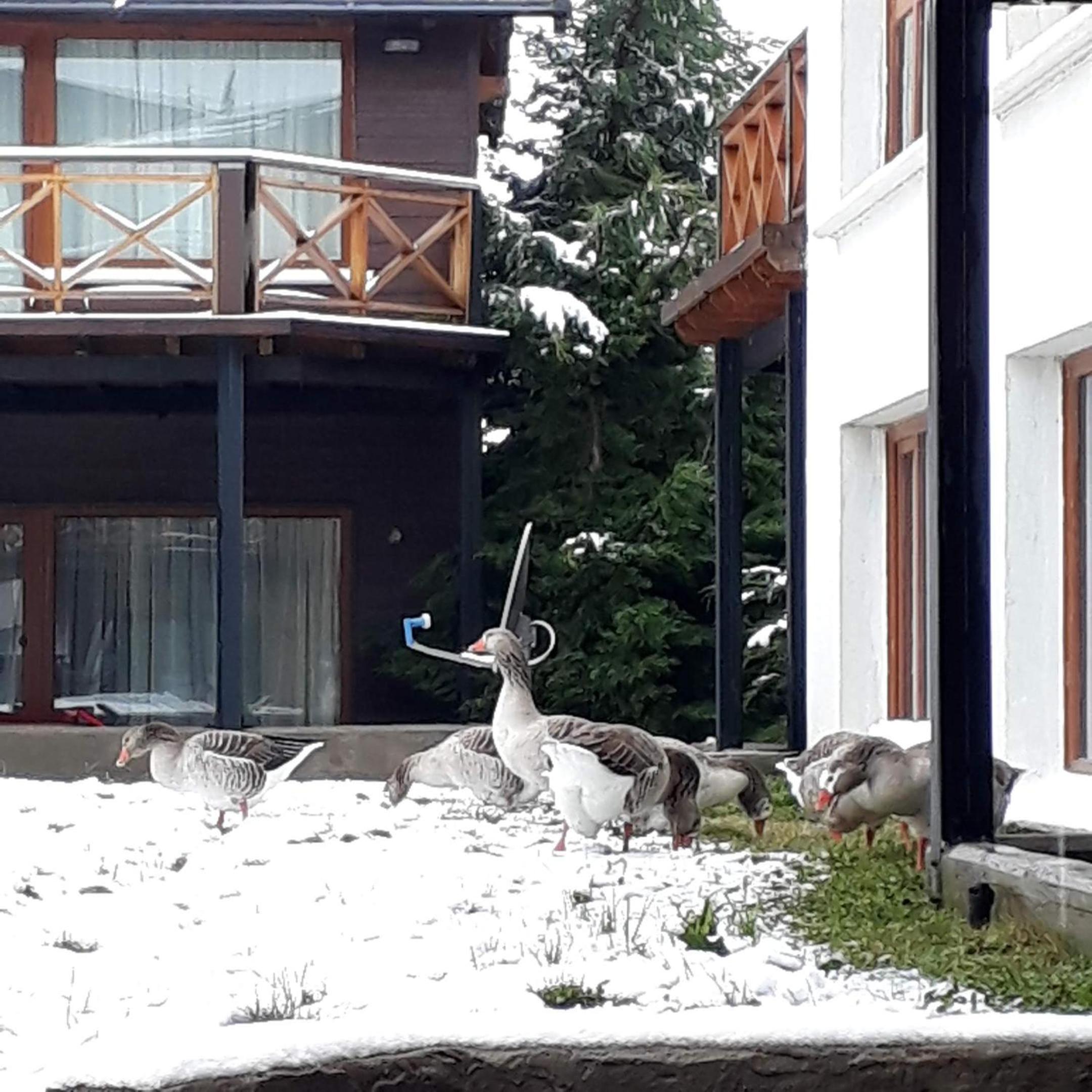 Departamento Dina Huapi Bariloche