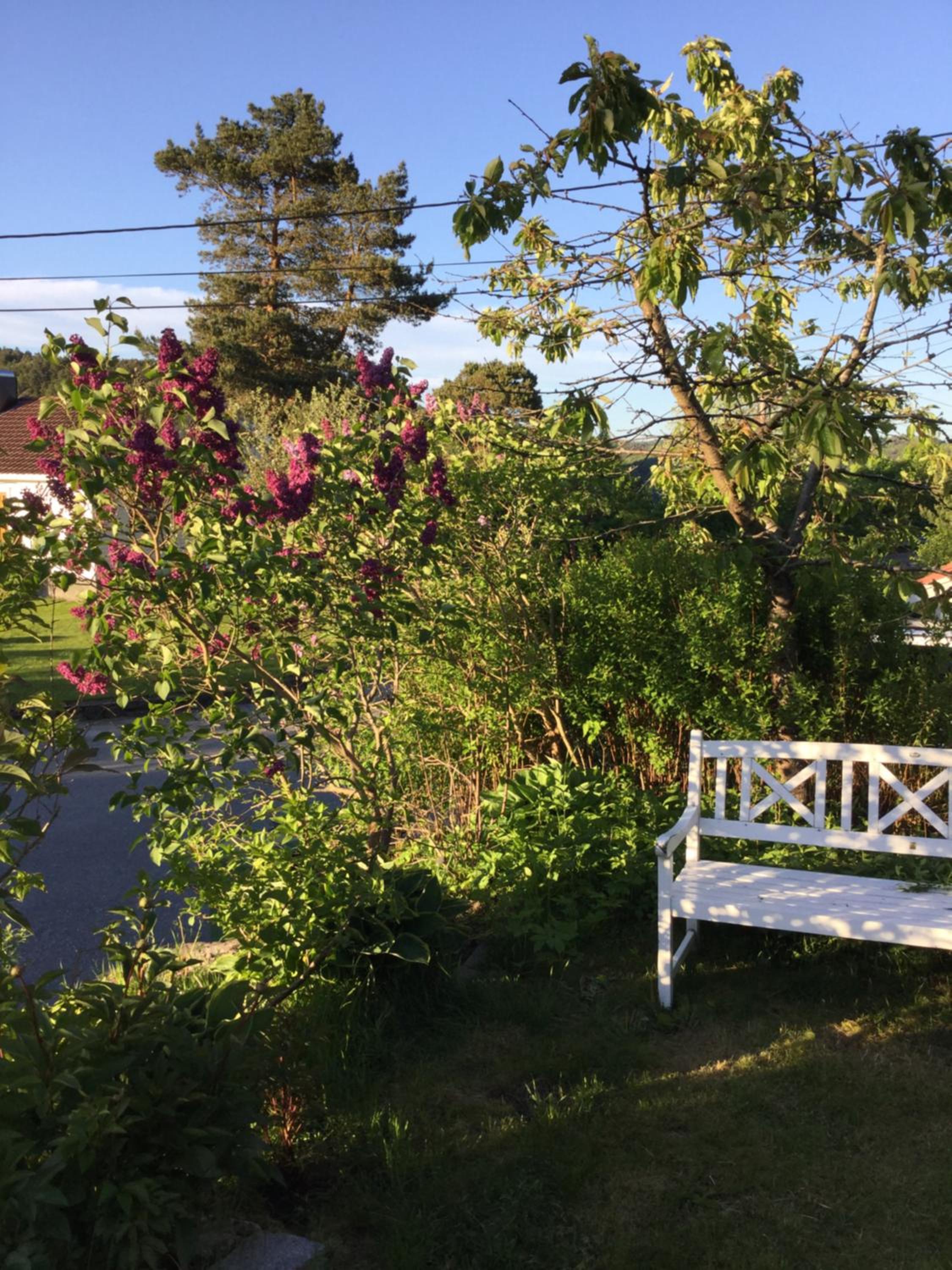 Krossmyrhill. Great house view 2