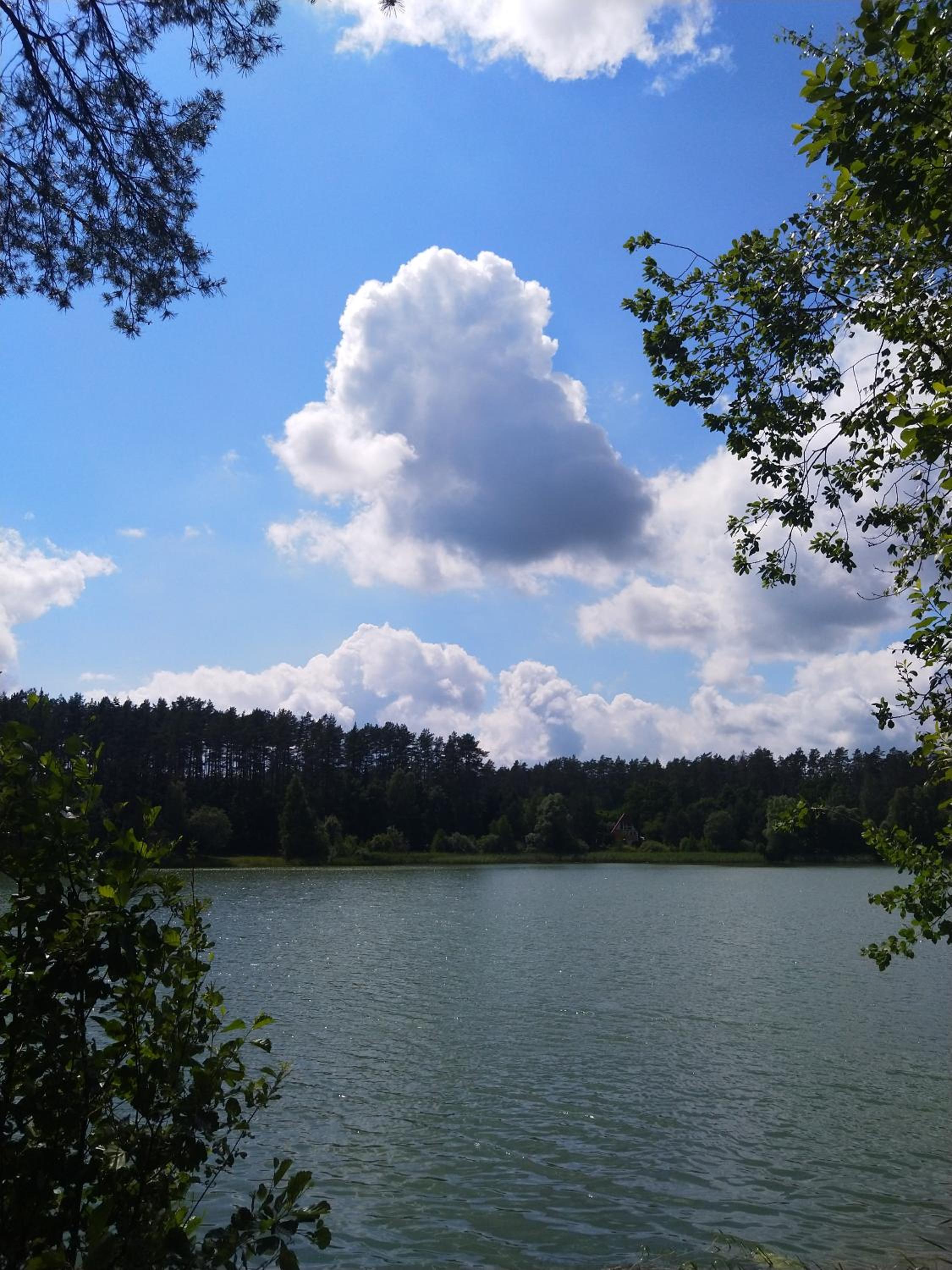 Domki Letniskowe Szczycionek view 3