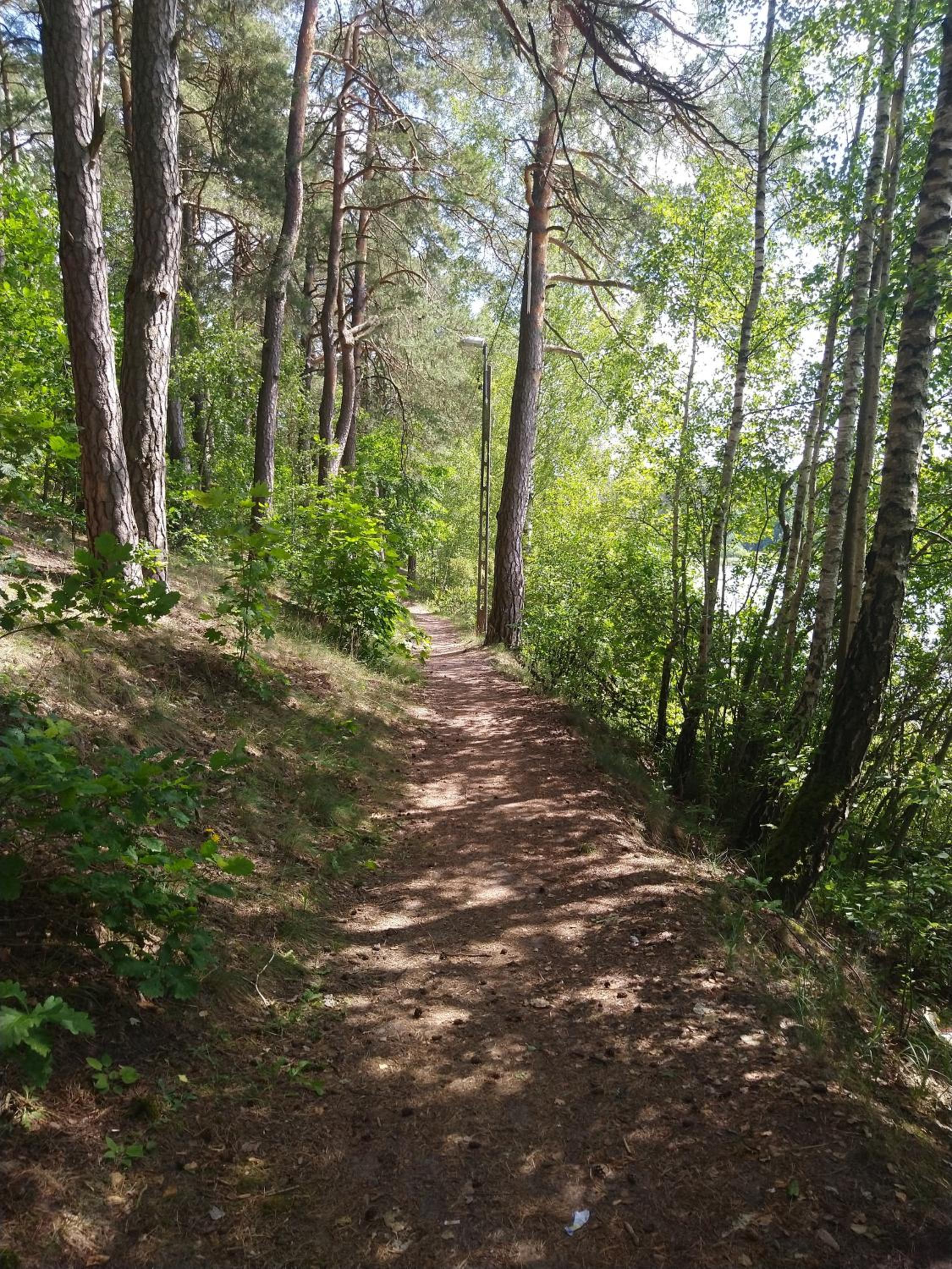 Domki Letniskowe Szczycionek view 5
