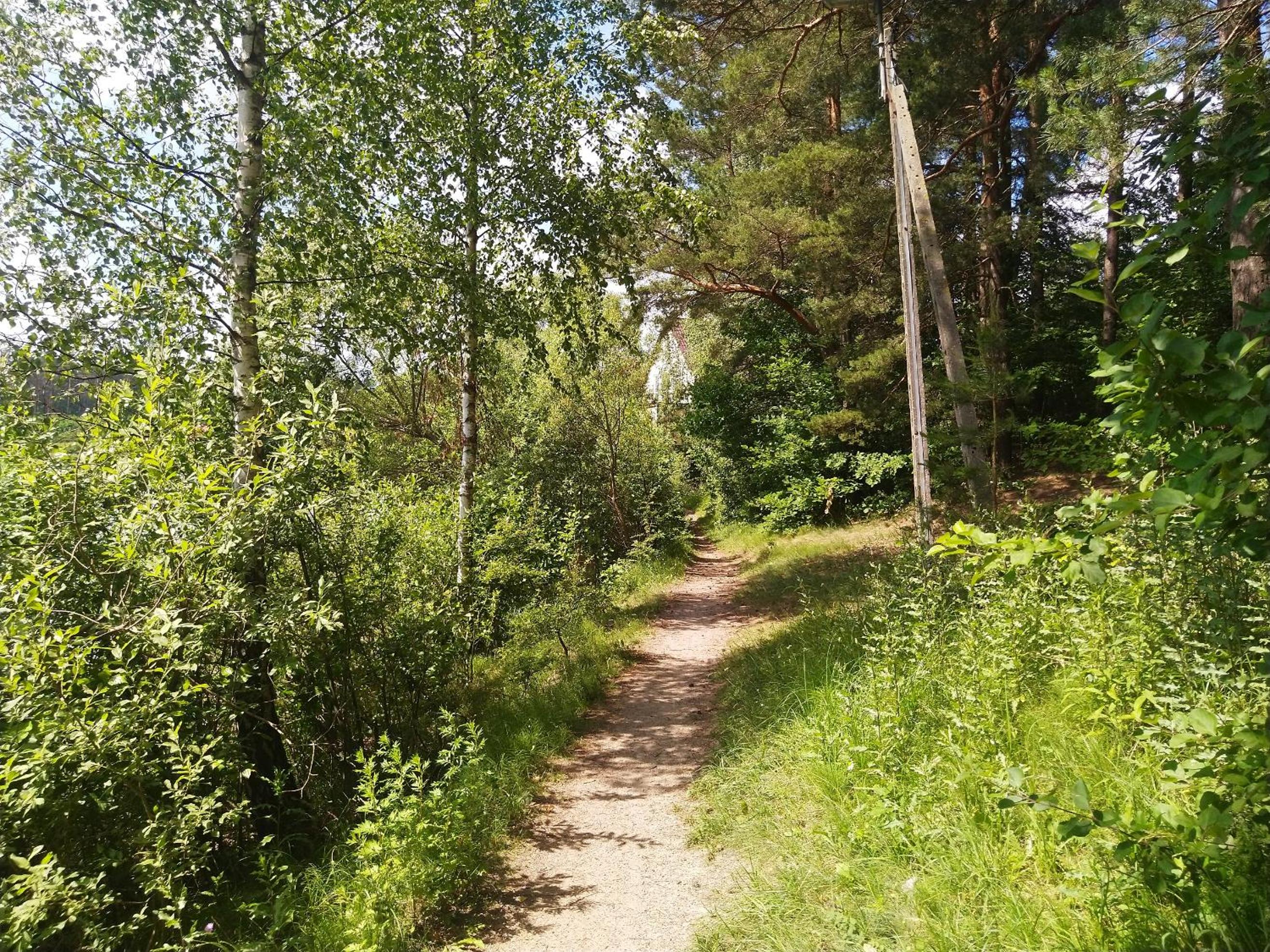 Photo 13
