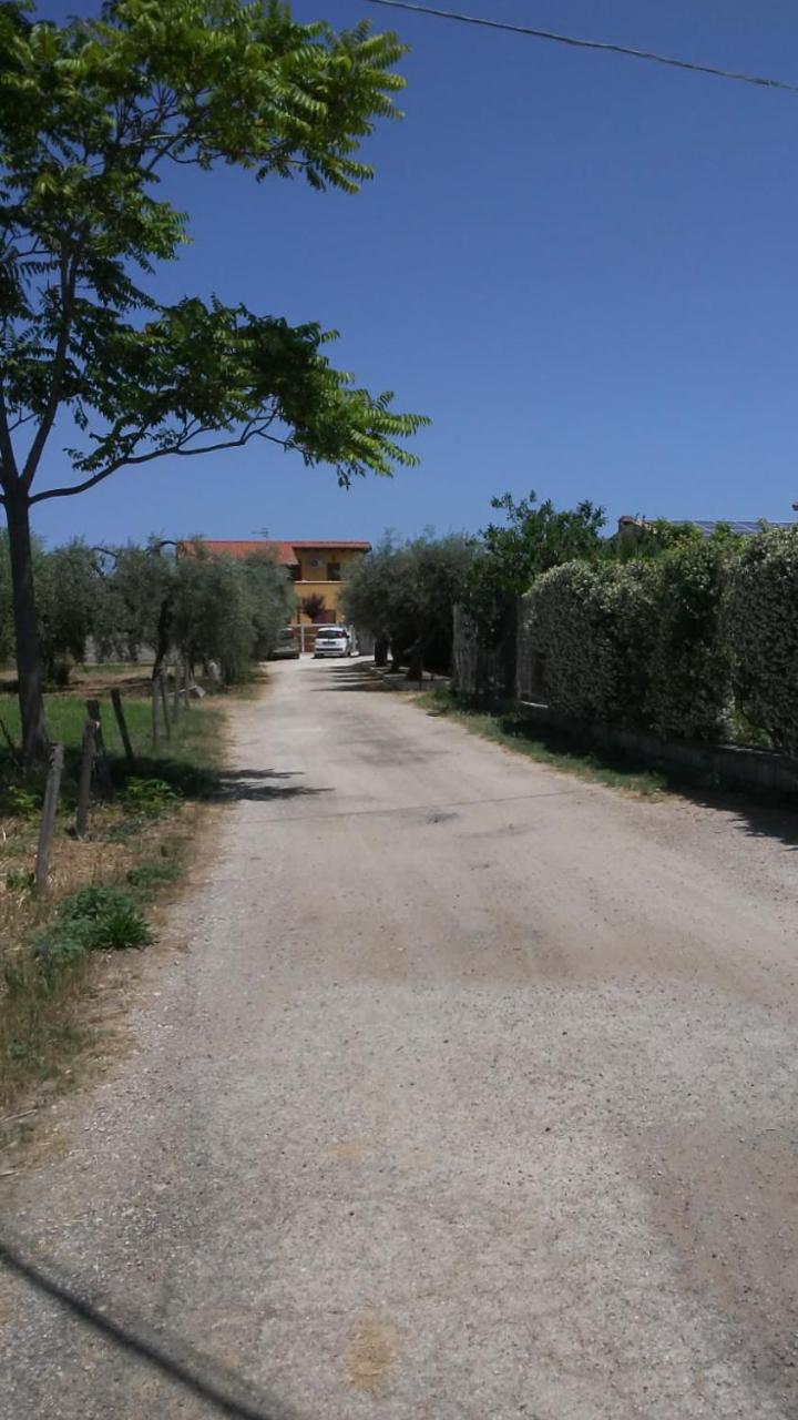 La casetta