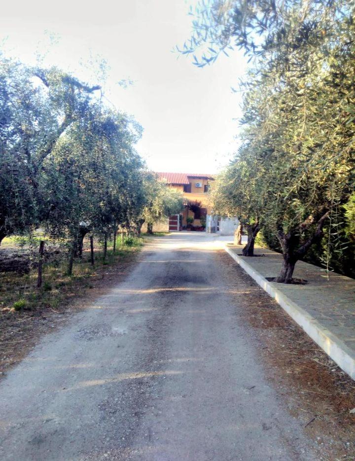 La casetta