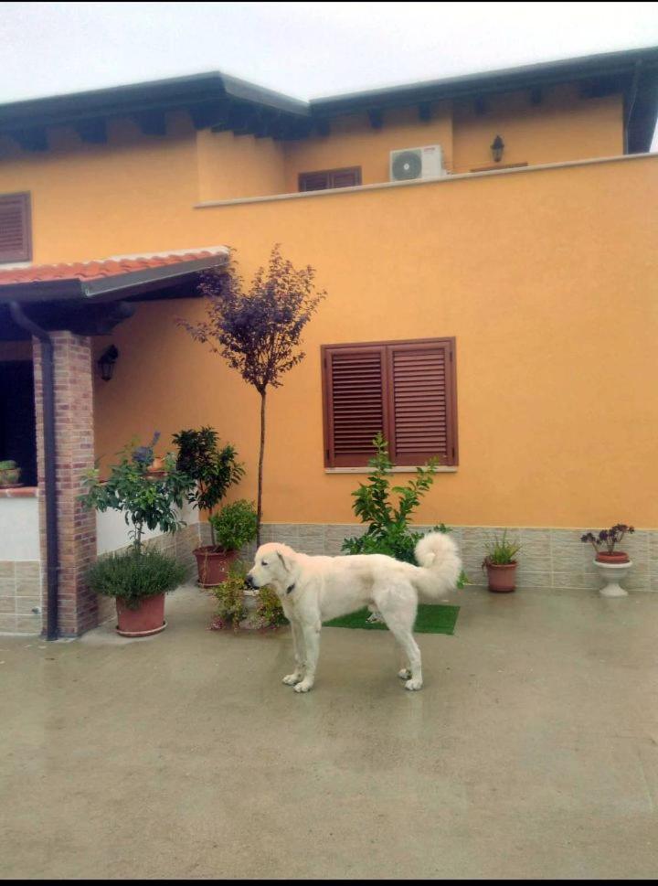 La casetta