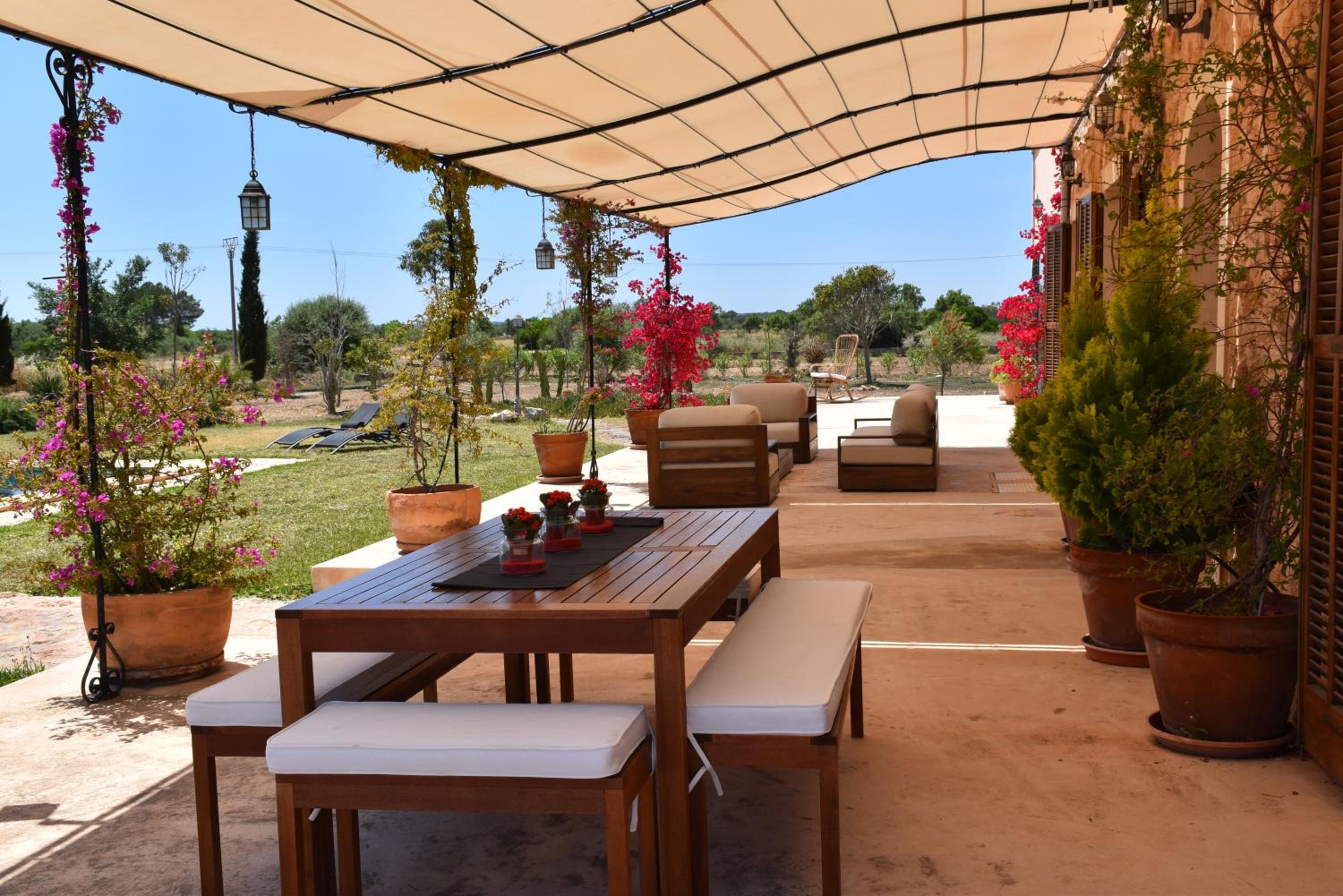 SON FRED CAMPOS photo 4