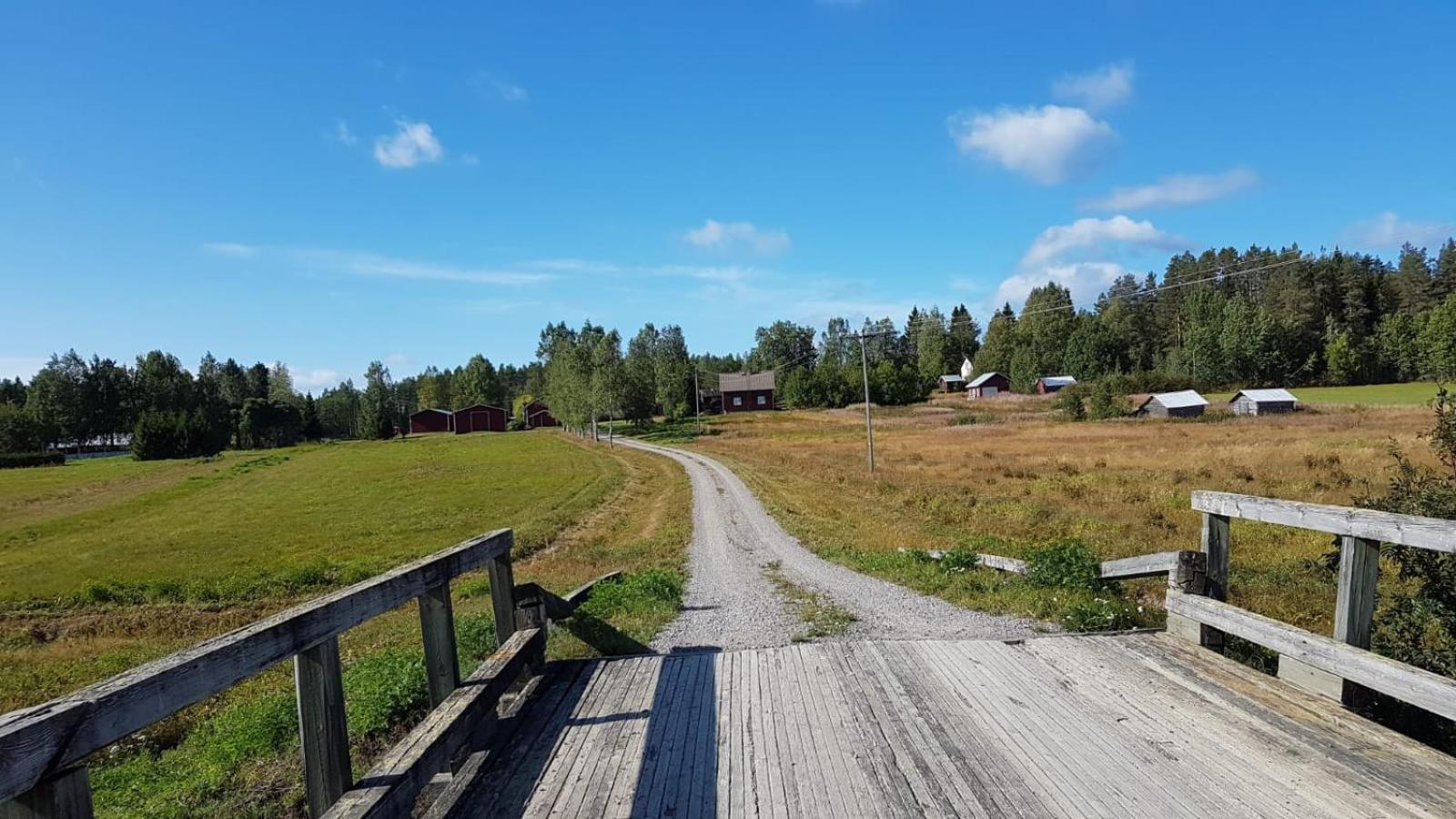 Photo 26