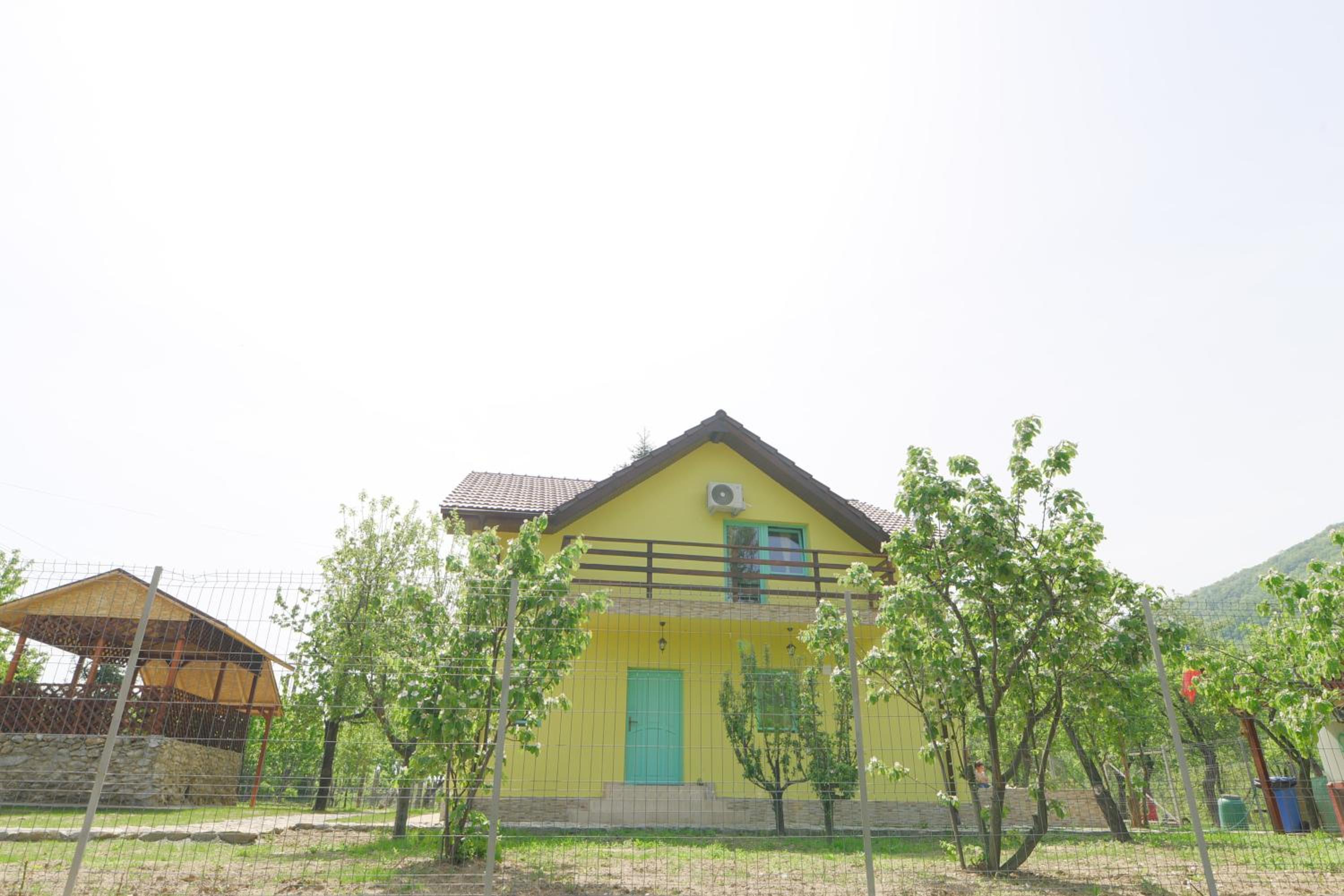 Photo 40