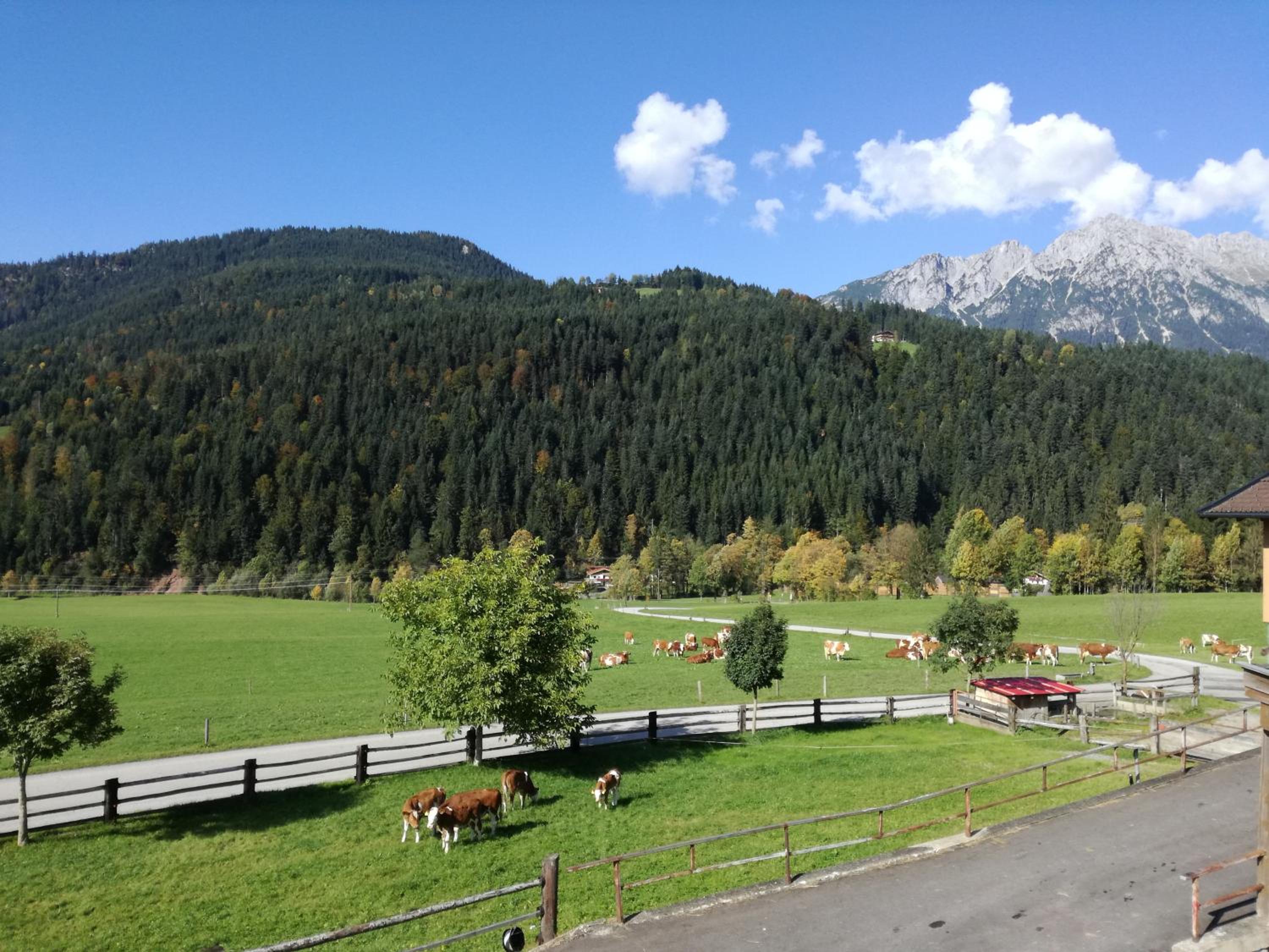 Appartement Unterbering view 5