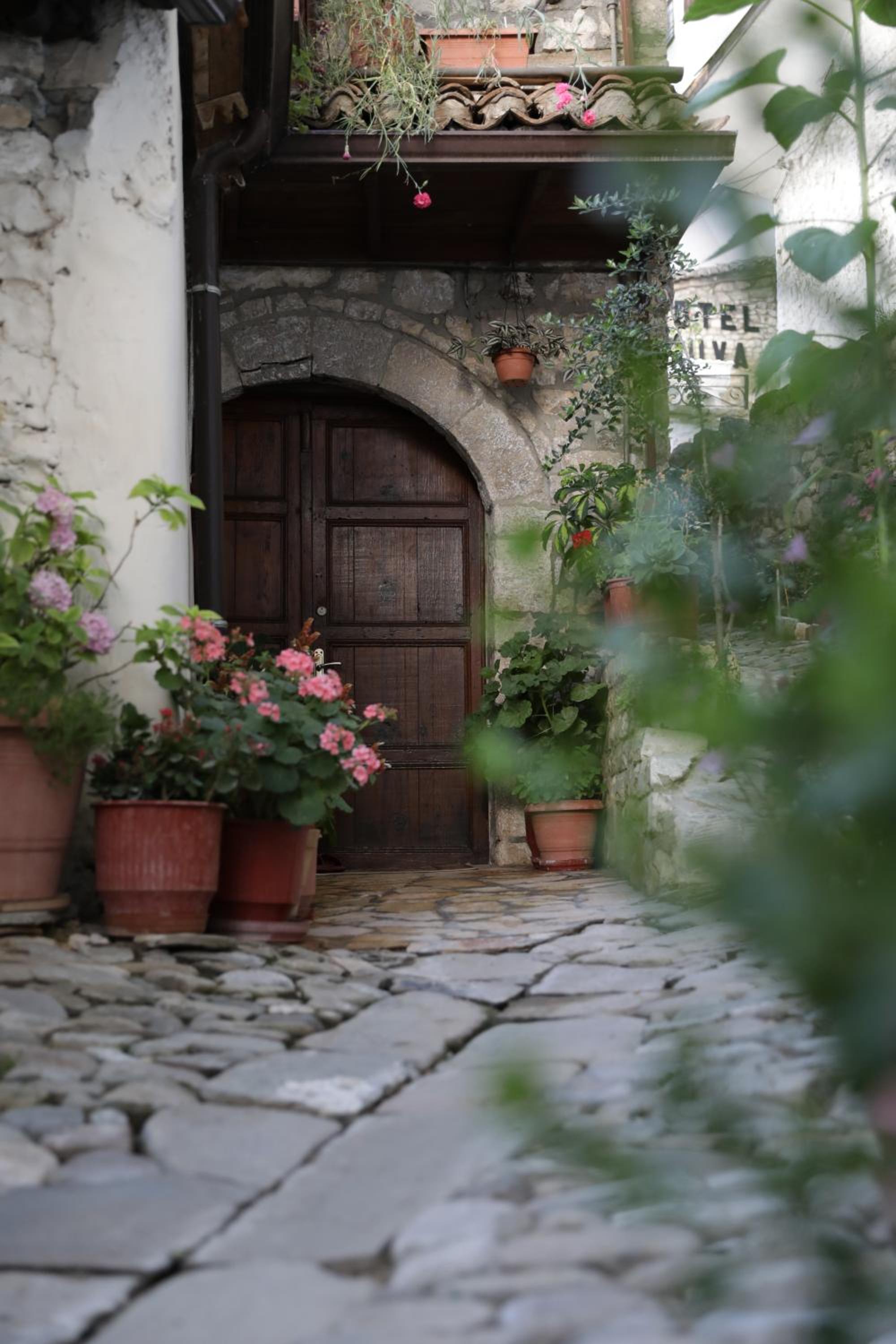 Guest House Mikel