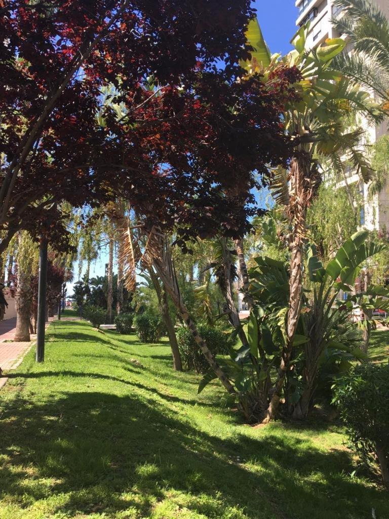 Apartamento AGUA MARINA Levante Beach view 3