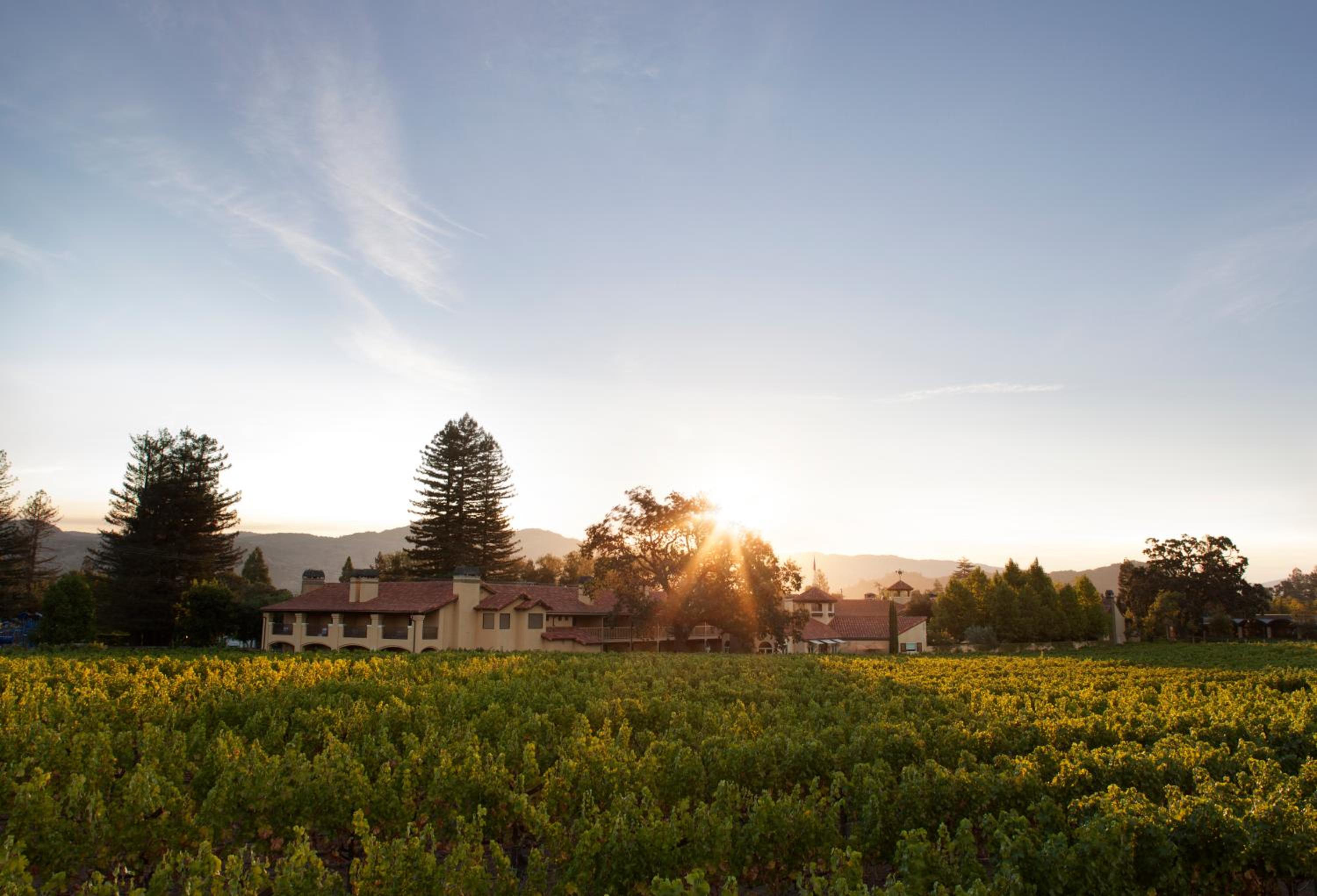 Yountville Vacations - Napa Valley Lodge - Property Image 24