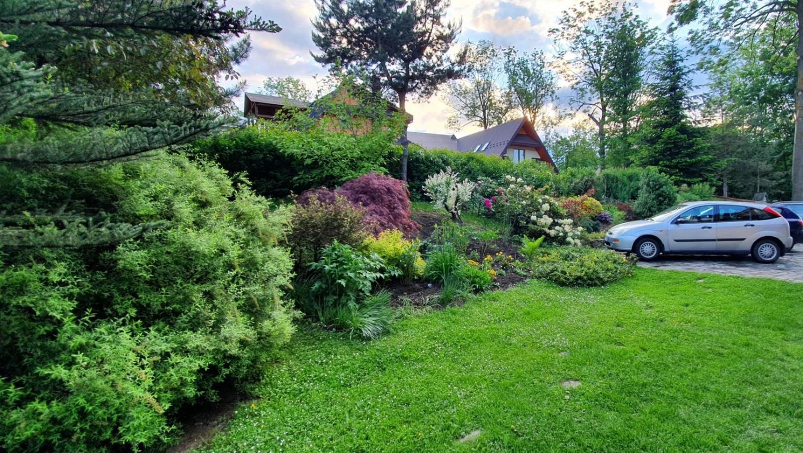 Photo 12