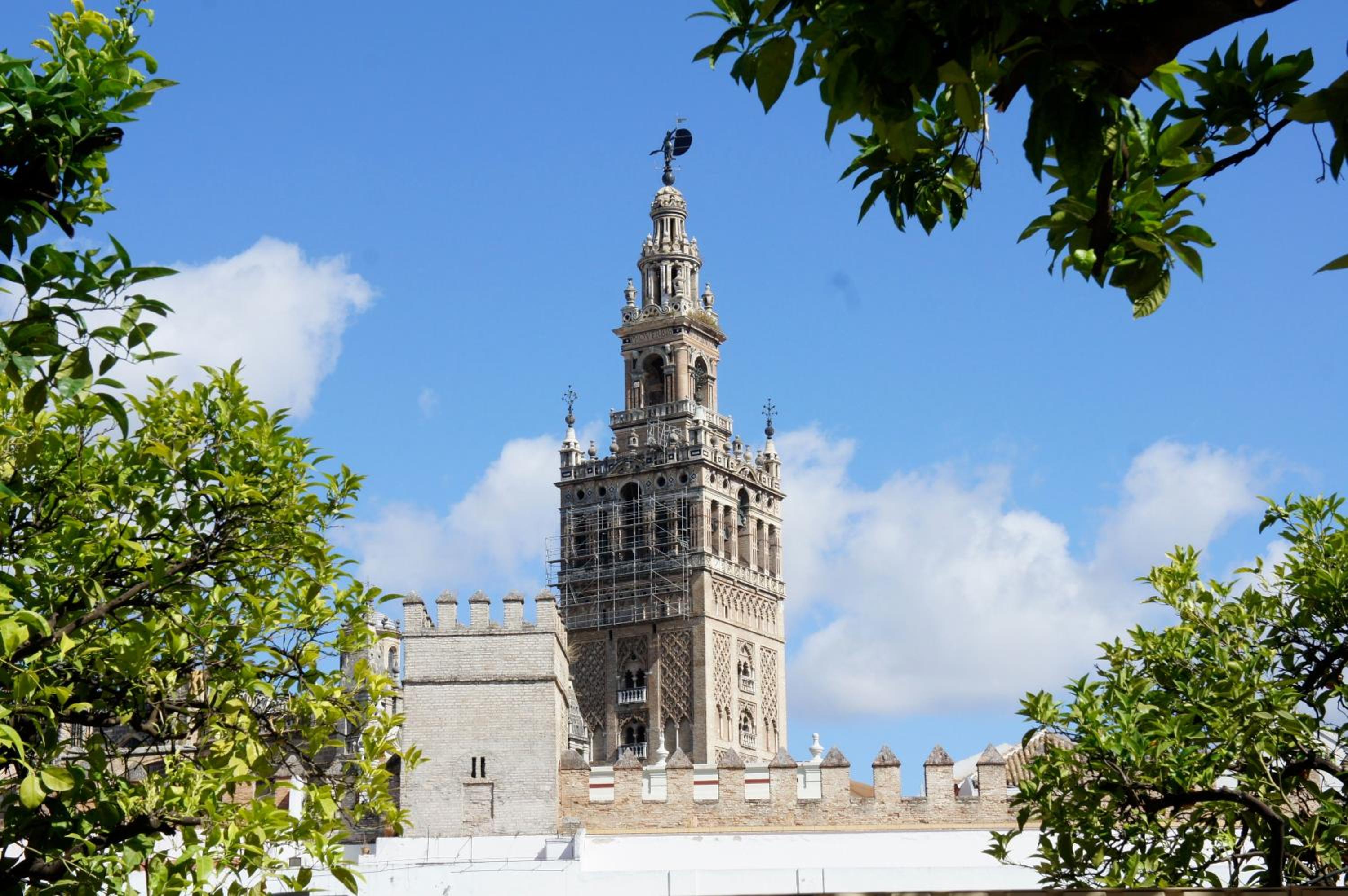 Pension Perez Montilla