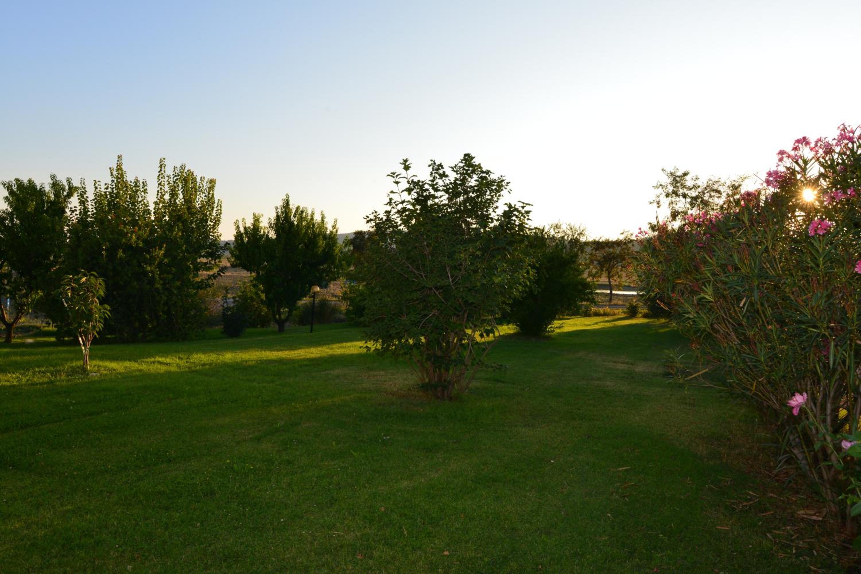 Agriturismo Podere Micitto photo 5