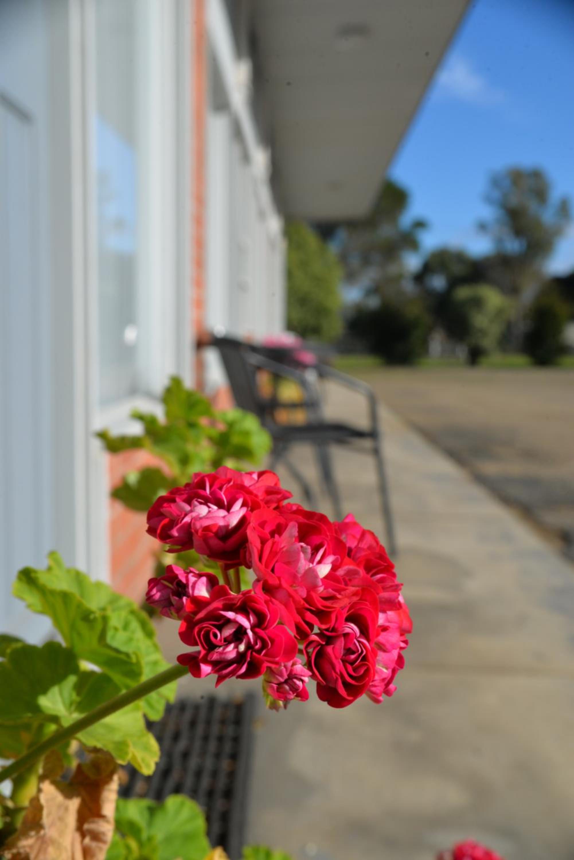 Ship Inn Motel Yarram