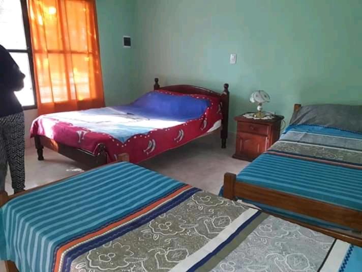 Hostel Odorico