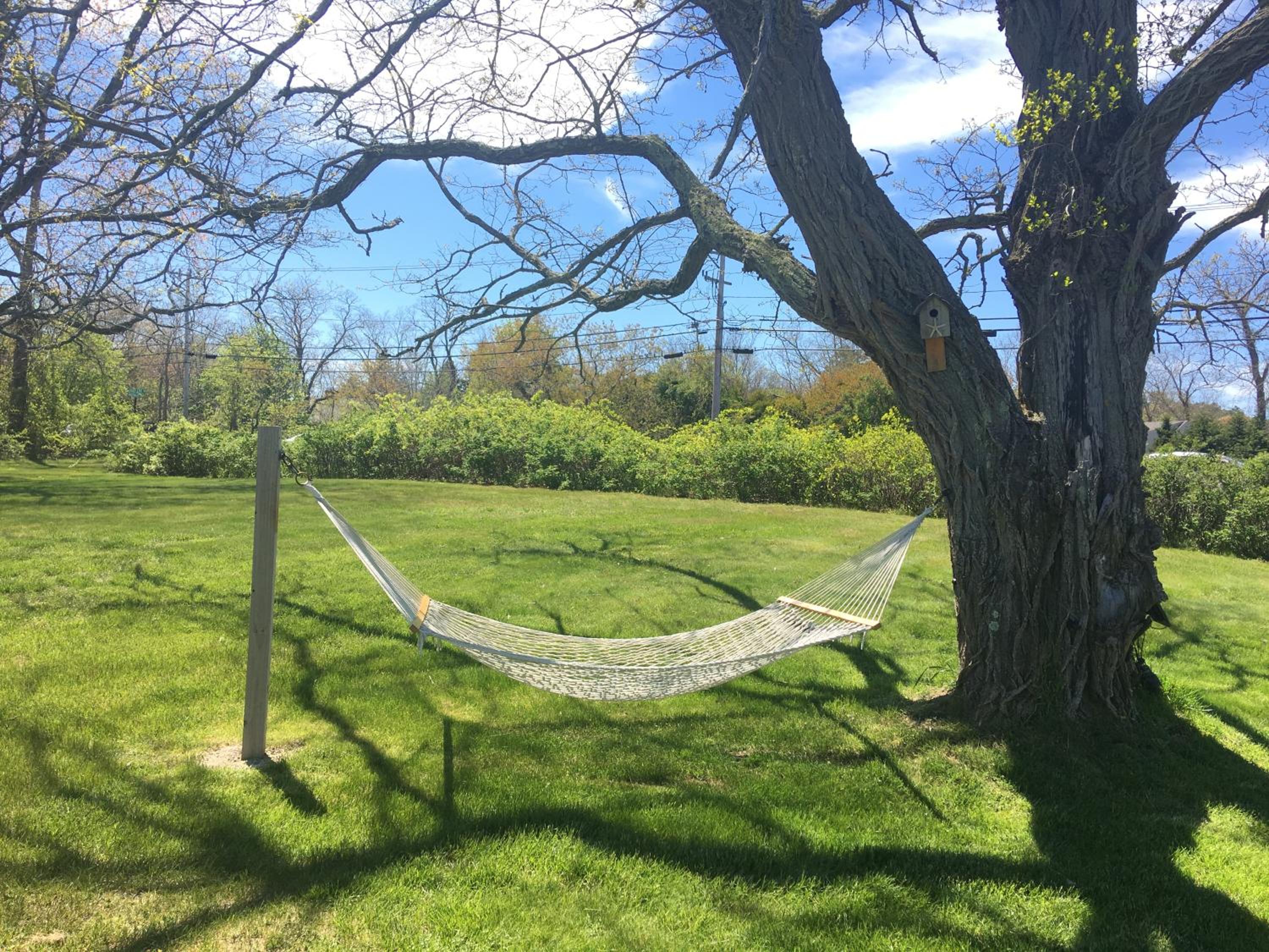 Eagle Wing Inn - Cape Cod